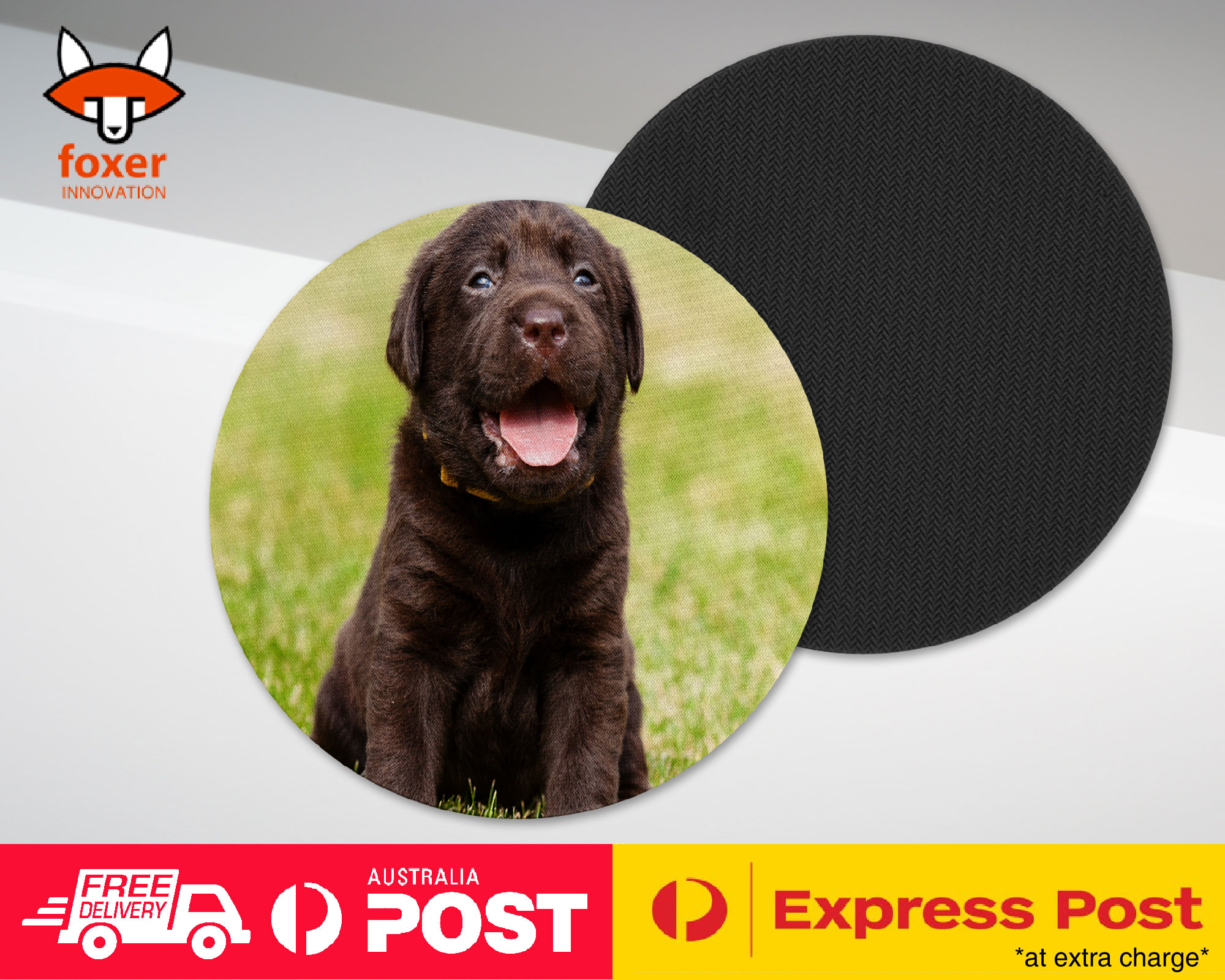 COASTER COFFEE DRINKING MAT|LABRADOR RETRIEVER DOG 17