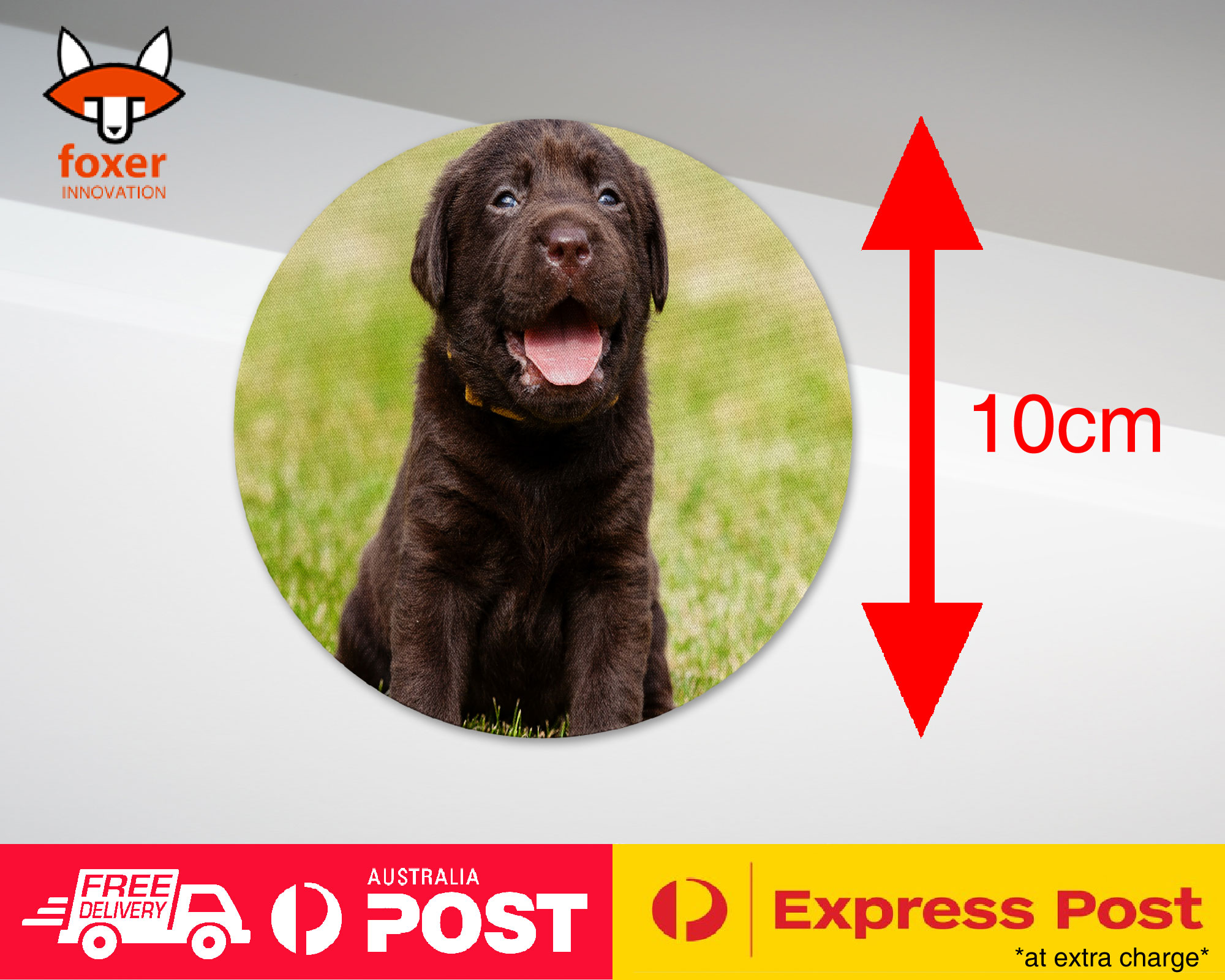 COASTER COFFEE DRINKING MAT|LABRADOR RETRIEVER DOG 17