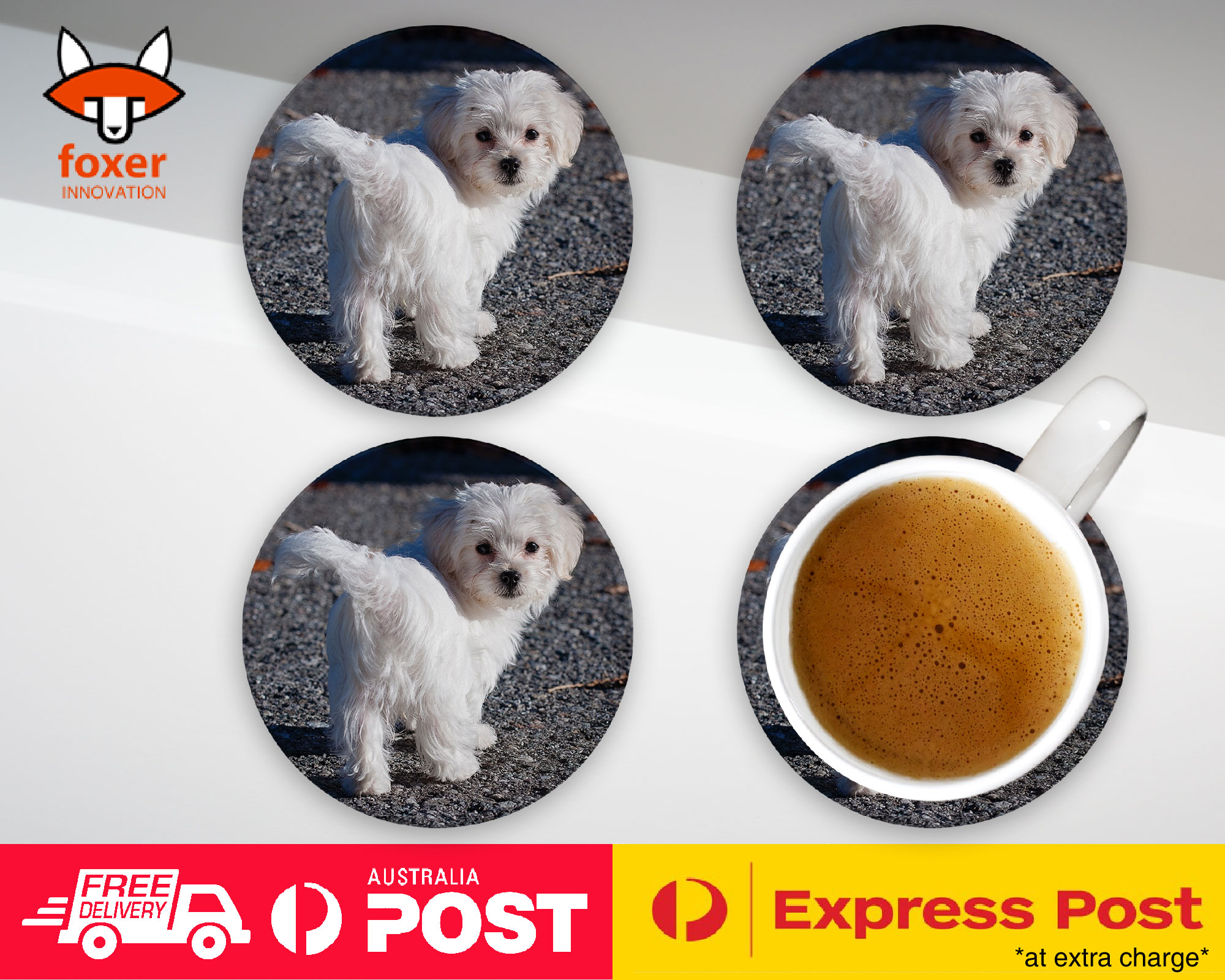 COASTER COFFEE DRINKING MAT|MALTESE DOG 7