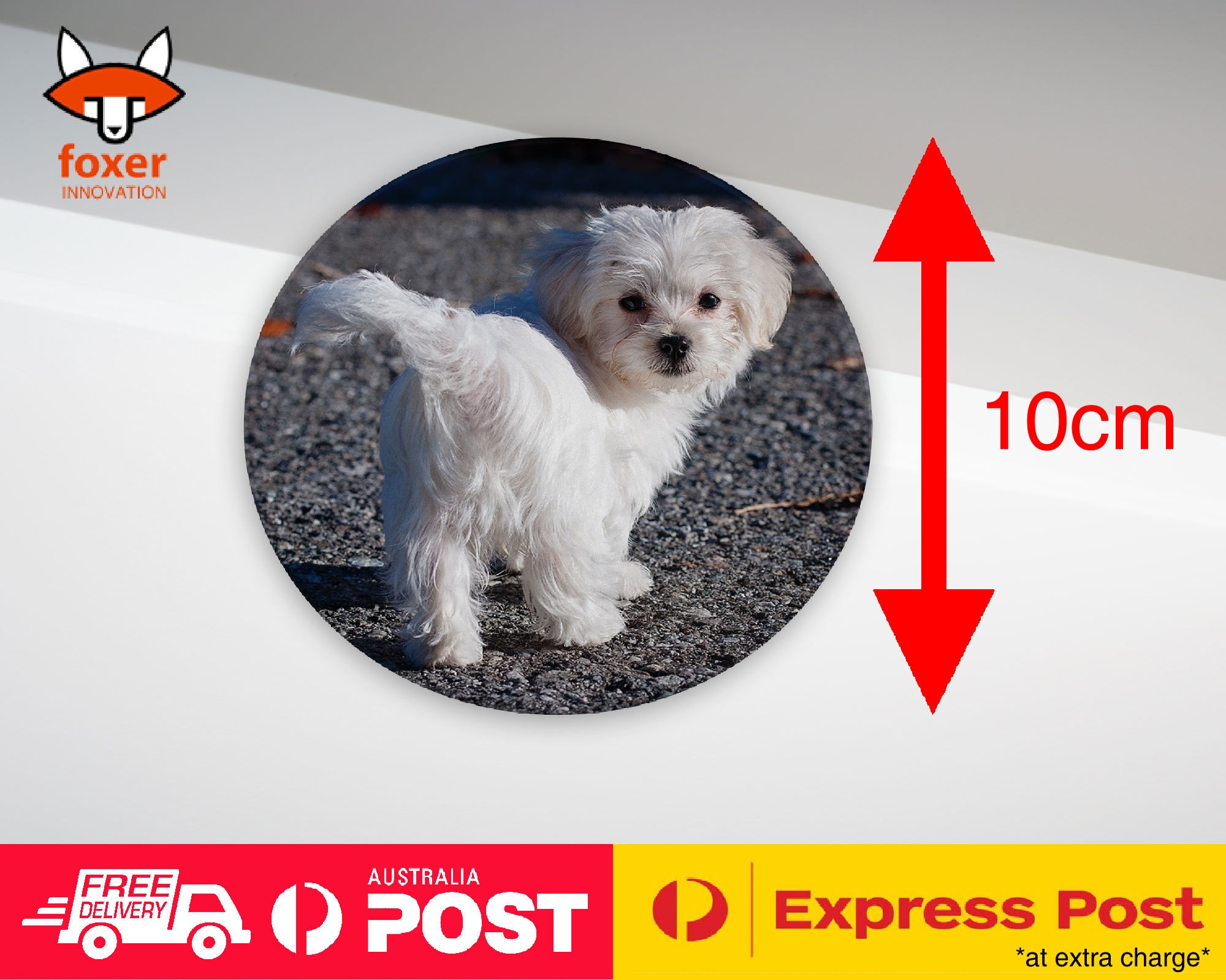 COASTER COFFEE DRINKING MAT|MALTESE DOG 7