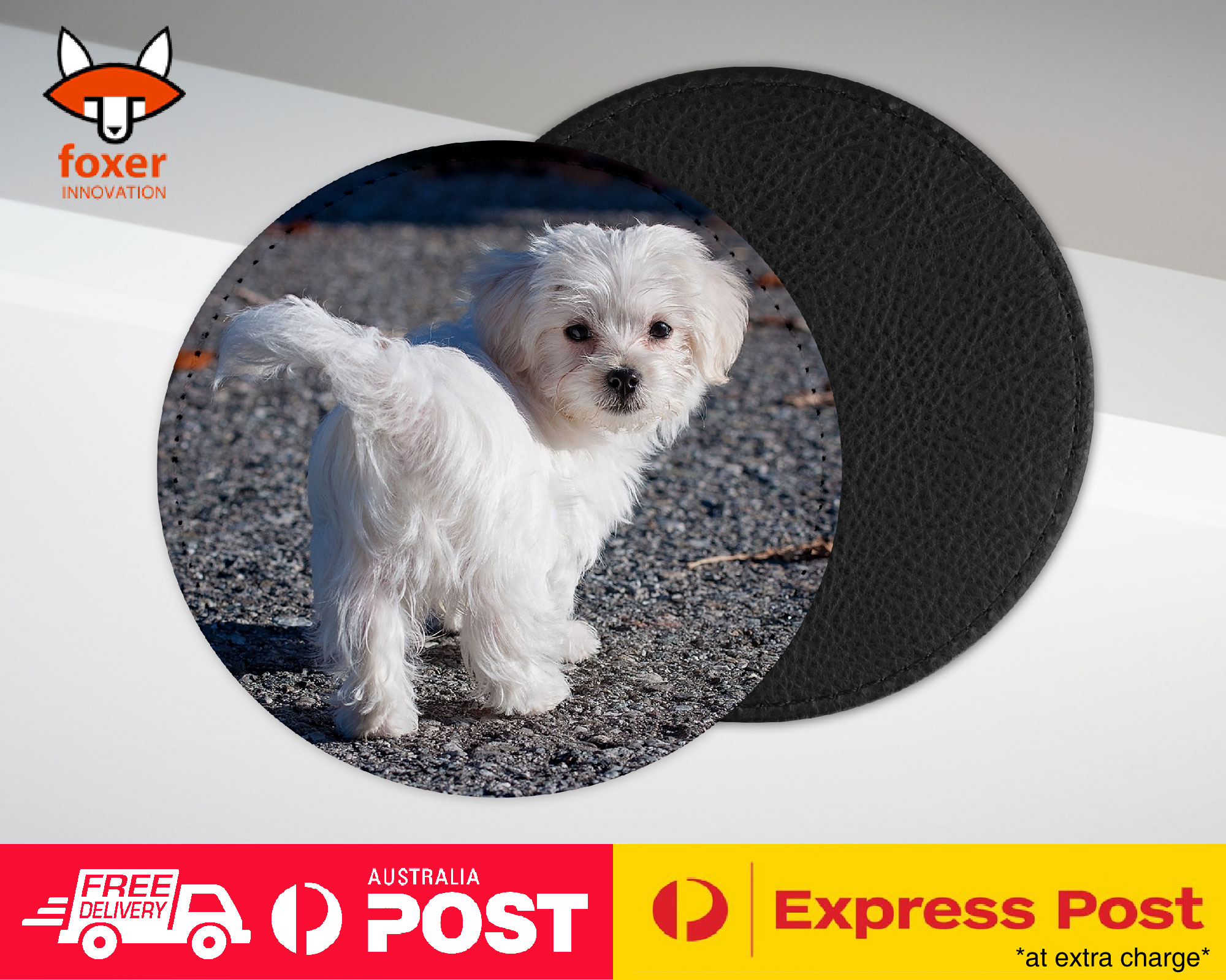 COASTER COFFEE DRINKING MAT|MALTESE DOG 7