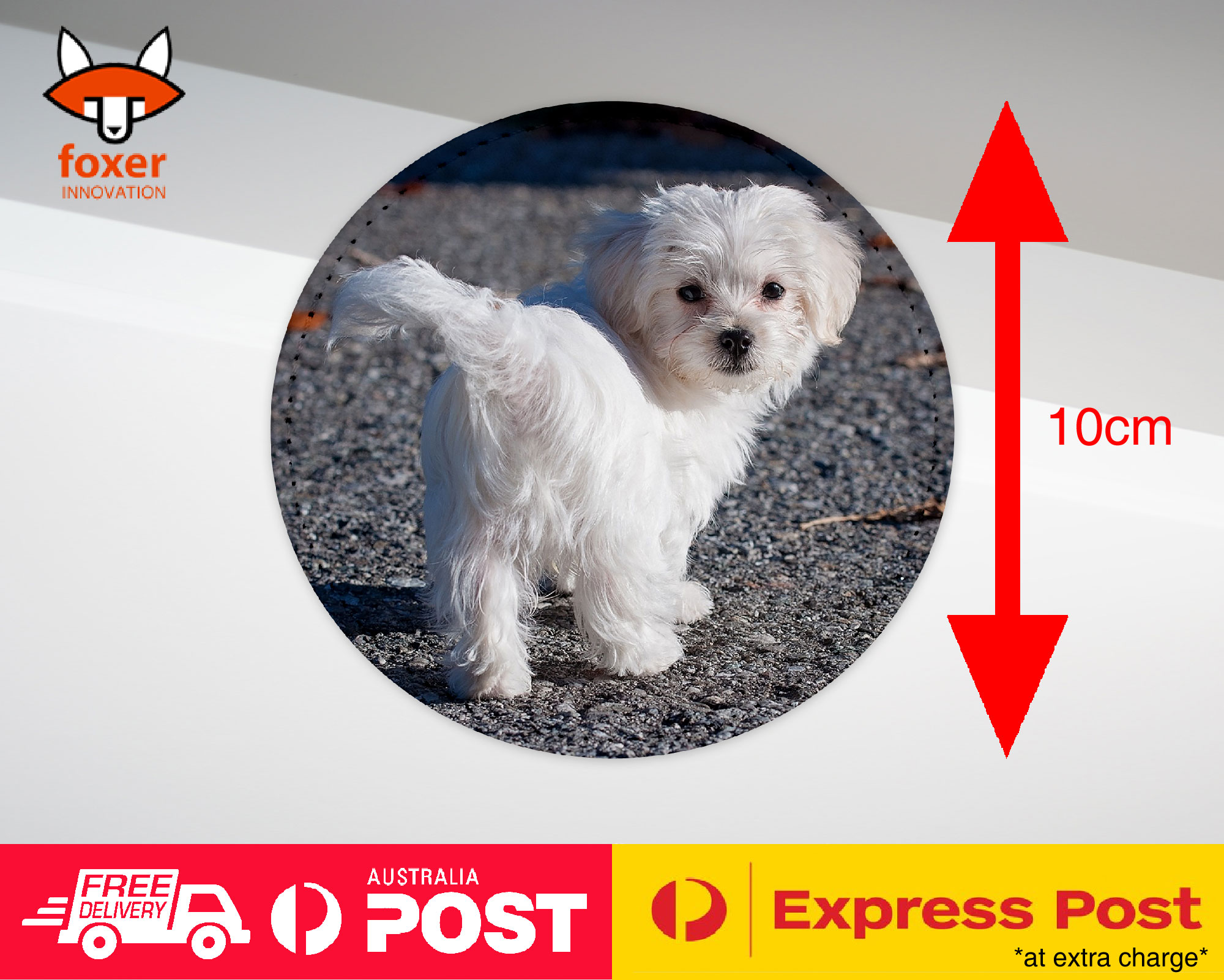 COASTER COFFEE DRINKING MAT|MALTESE DOG 7