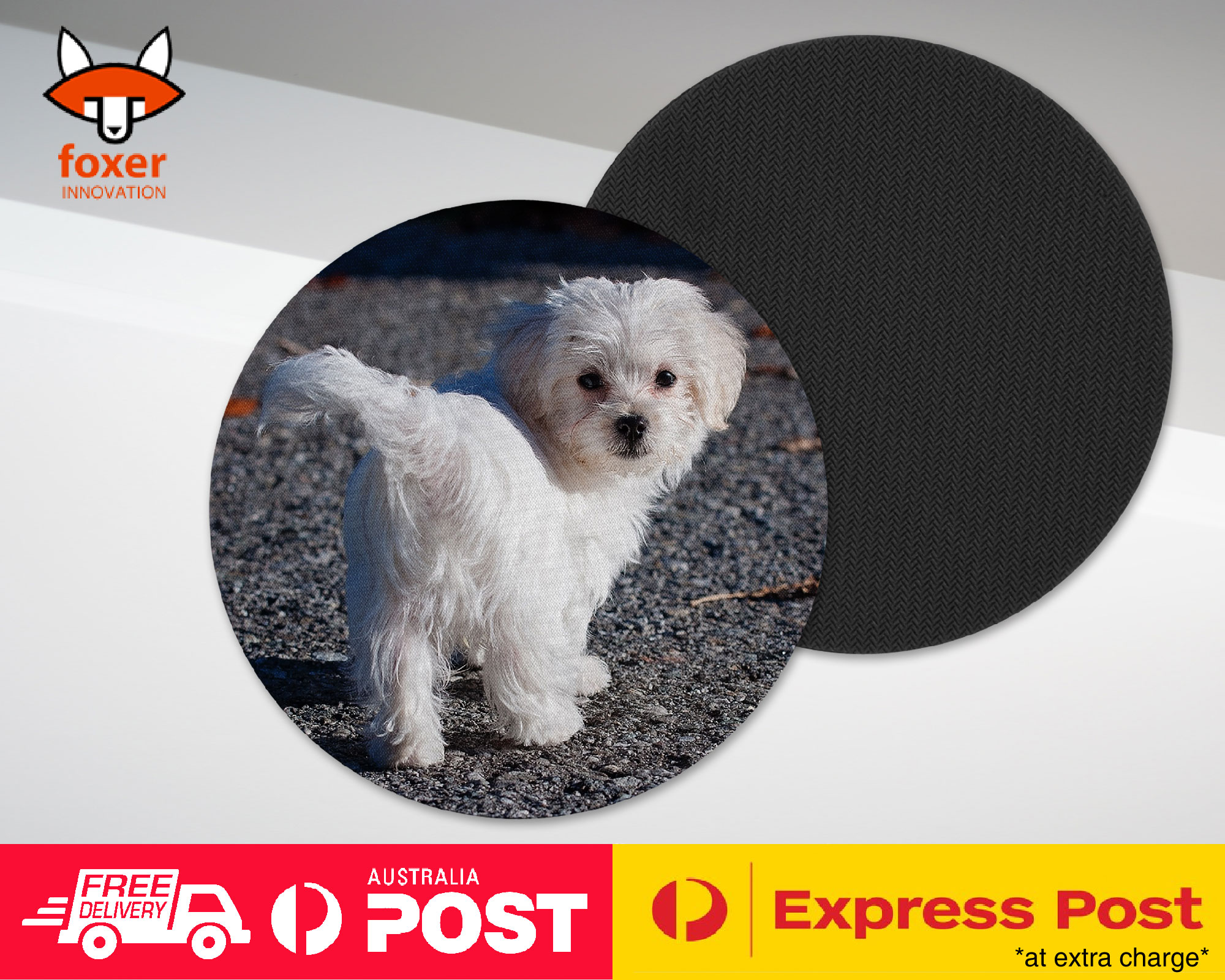 COASTER COFFEE DRINKING MAT|MALTESE DOG 7