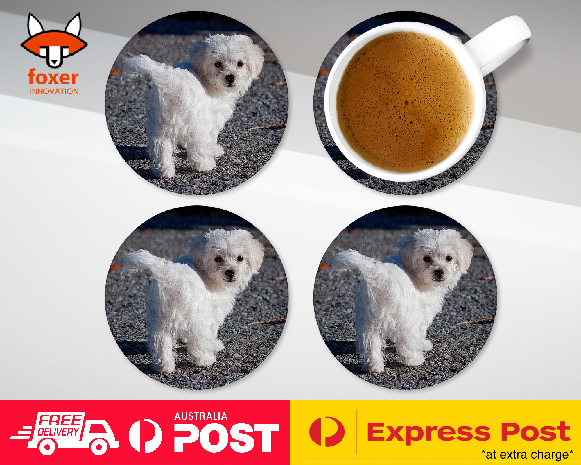 COASTER COFFEE DRINKING MAT|MALTESE DOG 7