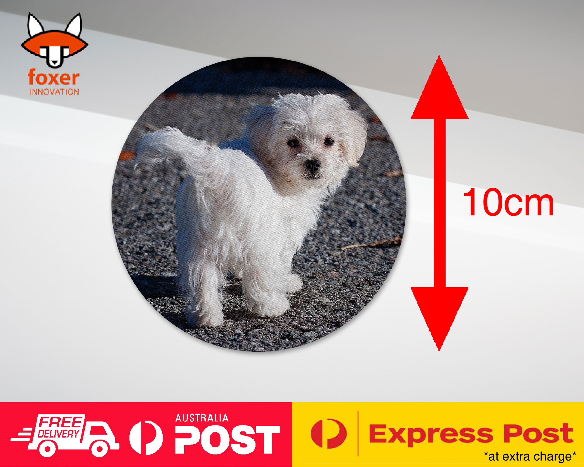 COASTER COFFEE DRINKING MAT|MALTESE DOG 7