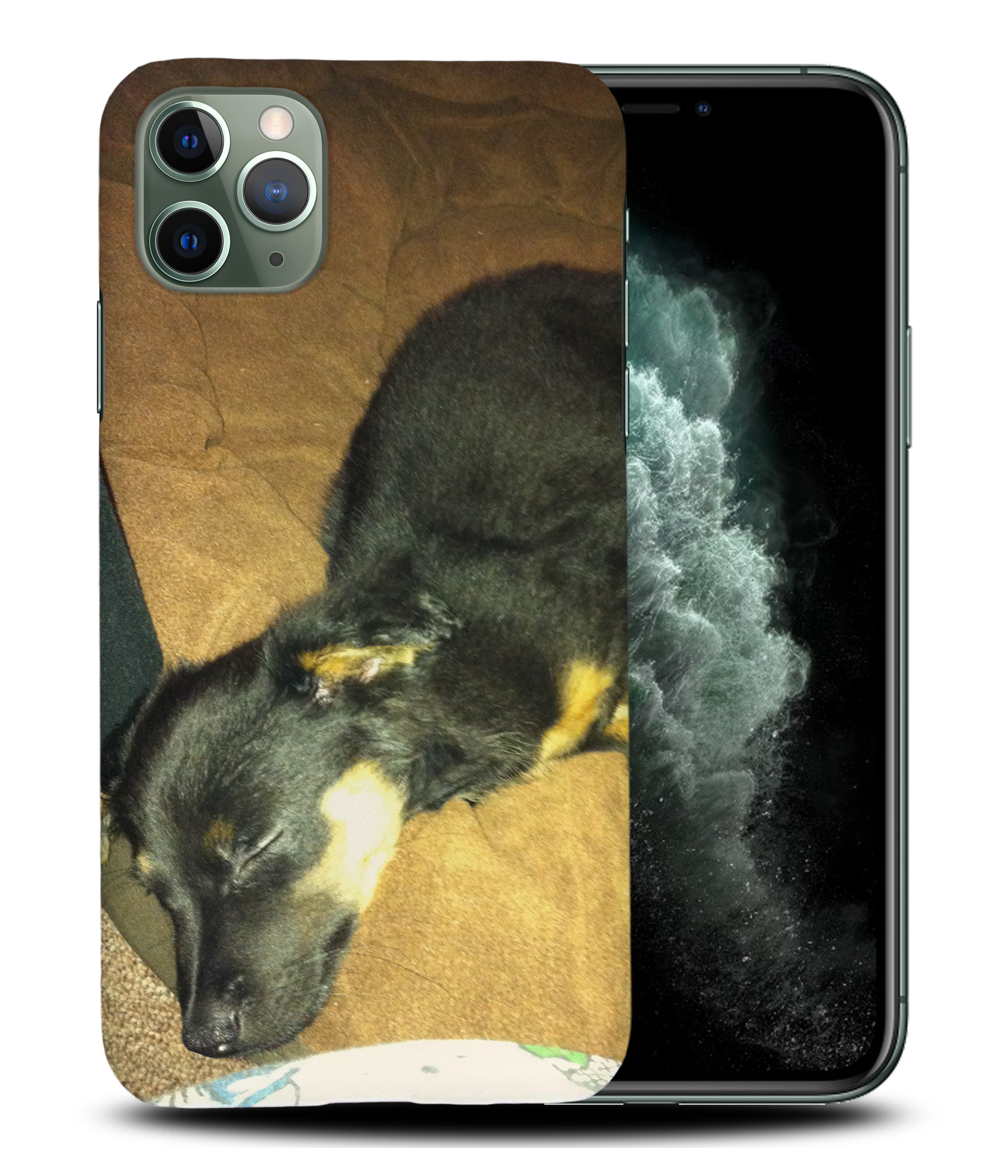 CASE COVER FOR APPLE IPHONE|POMERANIAN CHIHUAHUA DOG 2 - Picture 23 of 44