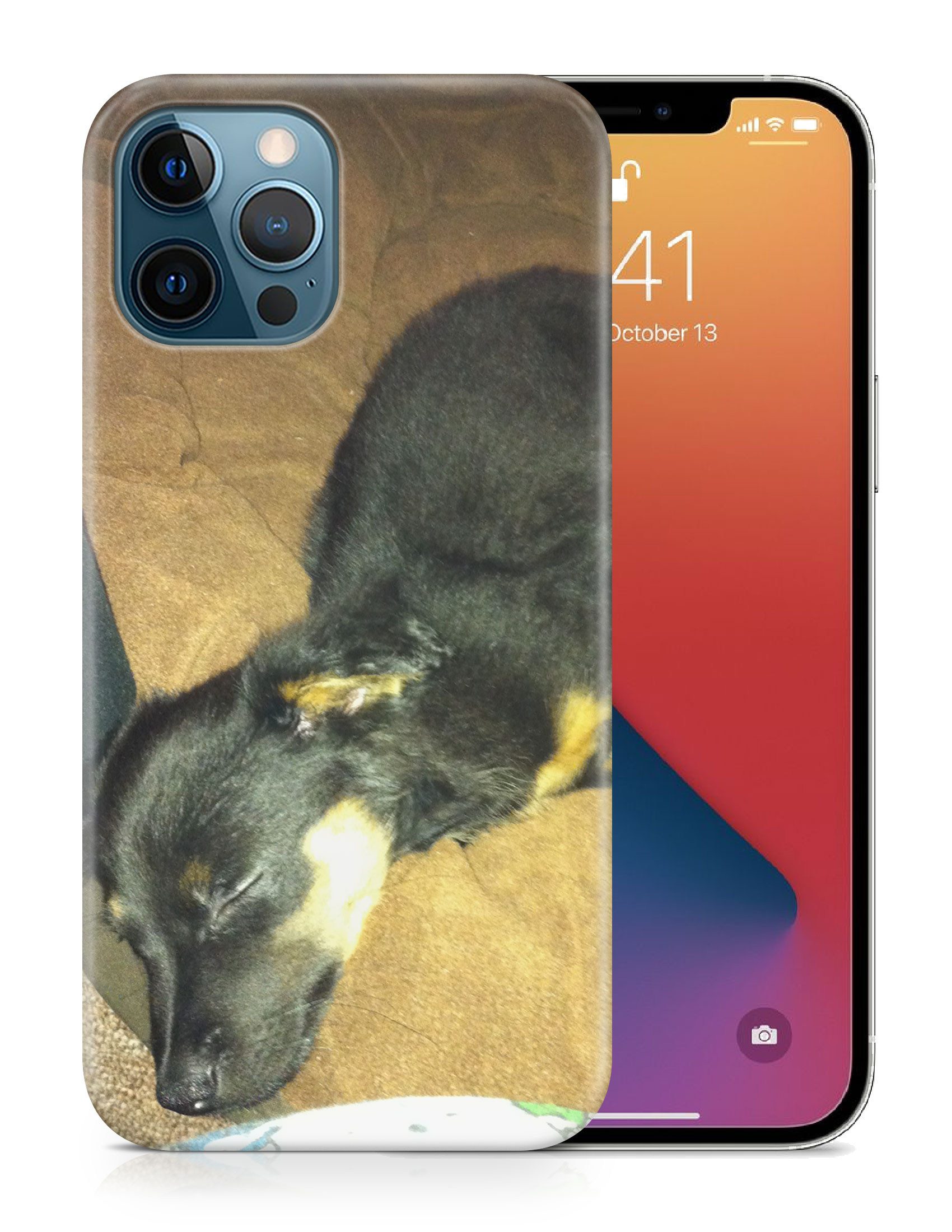 CASE COVER FOR APPLE IPHONE|POMERANIAN CHIHUAHUA DOG 2 - Picture 19 of 44