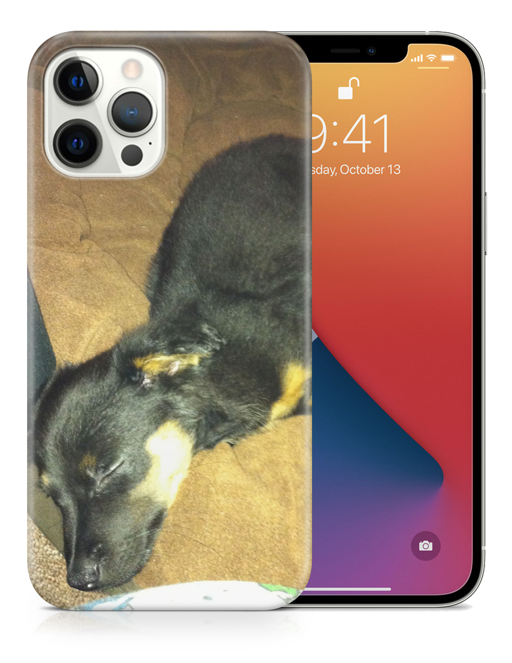 CASE COVER FOR APPLE IPHONE|POMERANIAN CHIHUAHUA DOG 2 - Picture 18 of 44