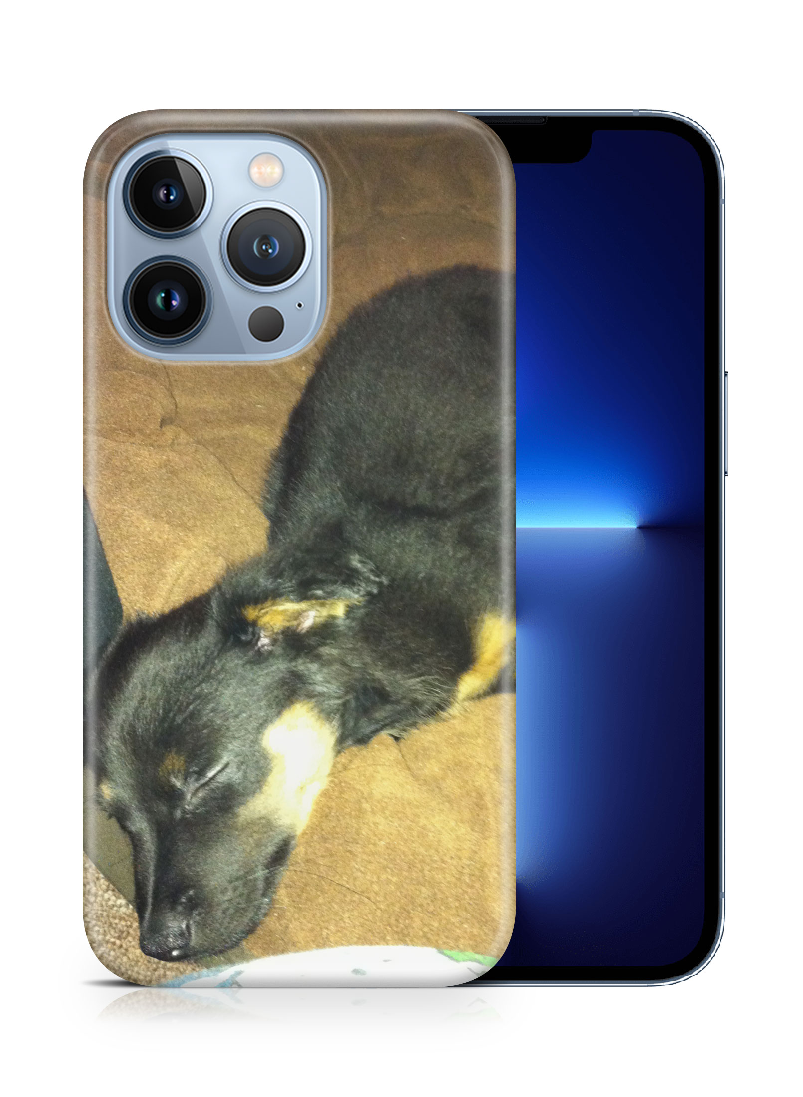 CASE COVER FOR APPLE IPHONE|POMERANIAN CHIHUAHUA DOG 2 - Picture 15 of 44