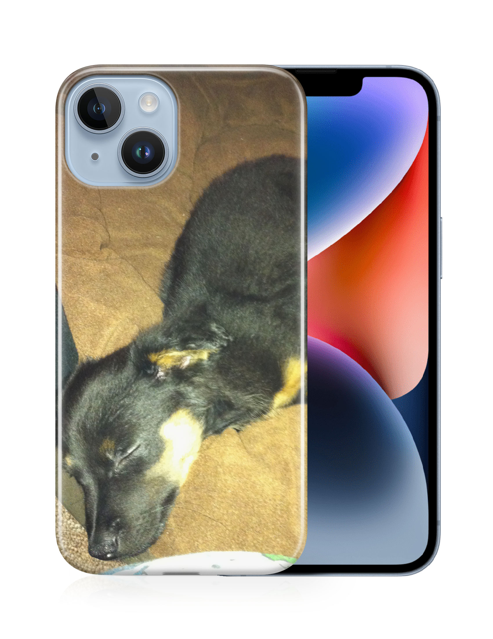 CASE COVER FOR APPLE IPHONE|POMERANIAN CHIHUAHUA DOG 2 - Picture 13 of 44