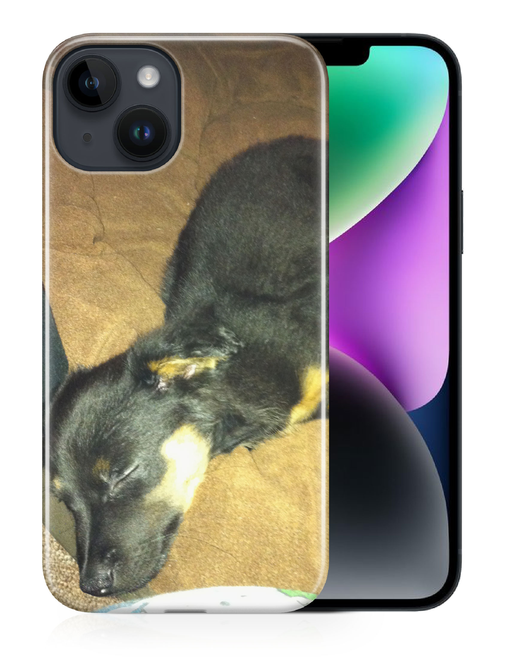 CASE COVER FOR APPLE IPHONE|POMERANIAN CHIHUAHUA DOG 2 - Picture 12 of 44