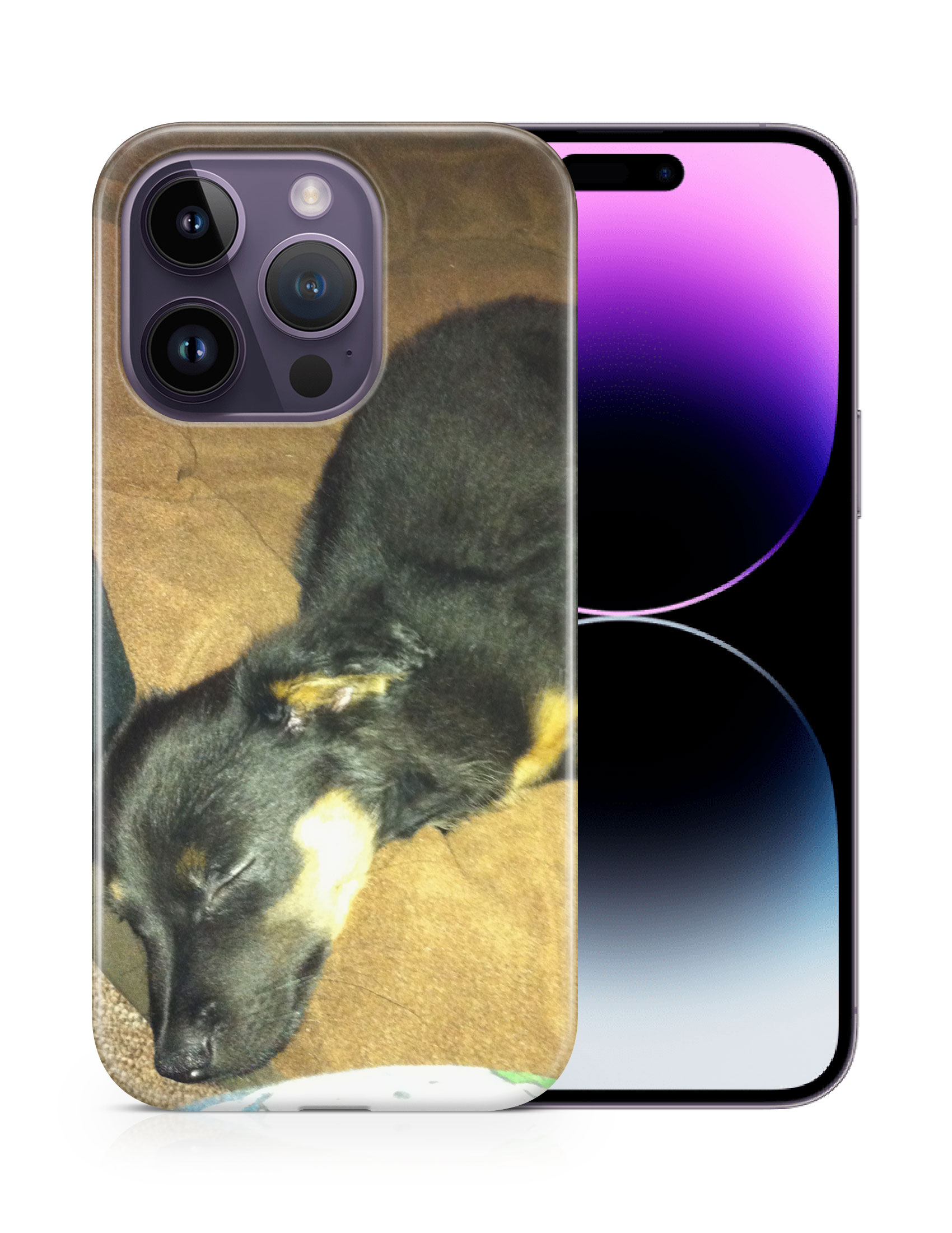 CASE COVER FOR APPLE IPHONE|POMERANIAN CHIHUAHUA DOG 2 - Picture 11 of 44