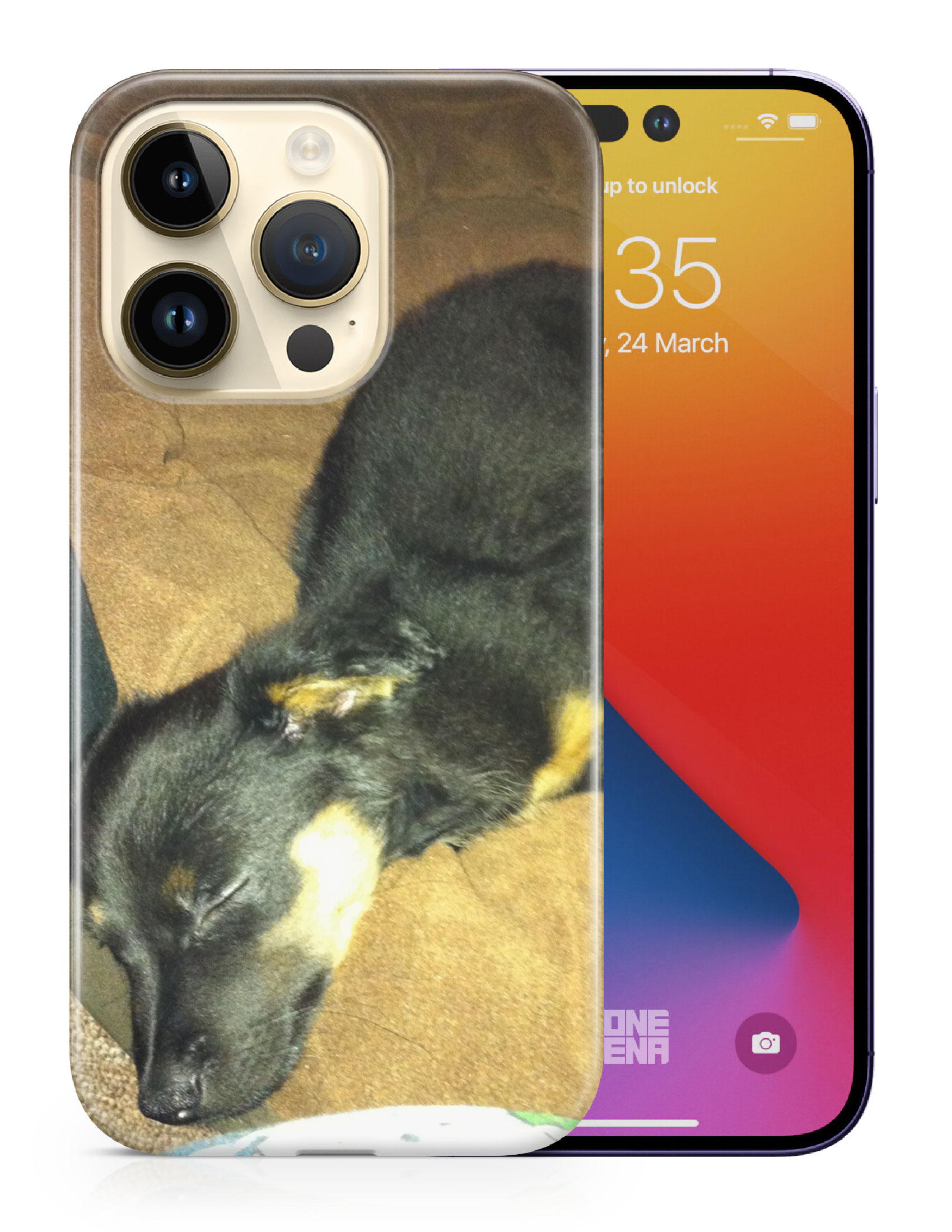 CASE COVER FOR APPLE IPHONE|POMERANIAN CHIHUAHUA DOG 2 - Picture 10 of 44