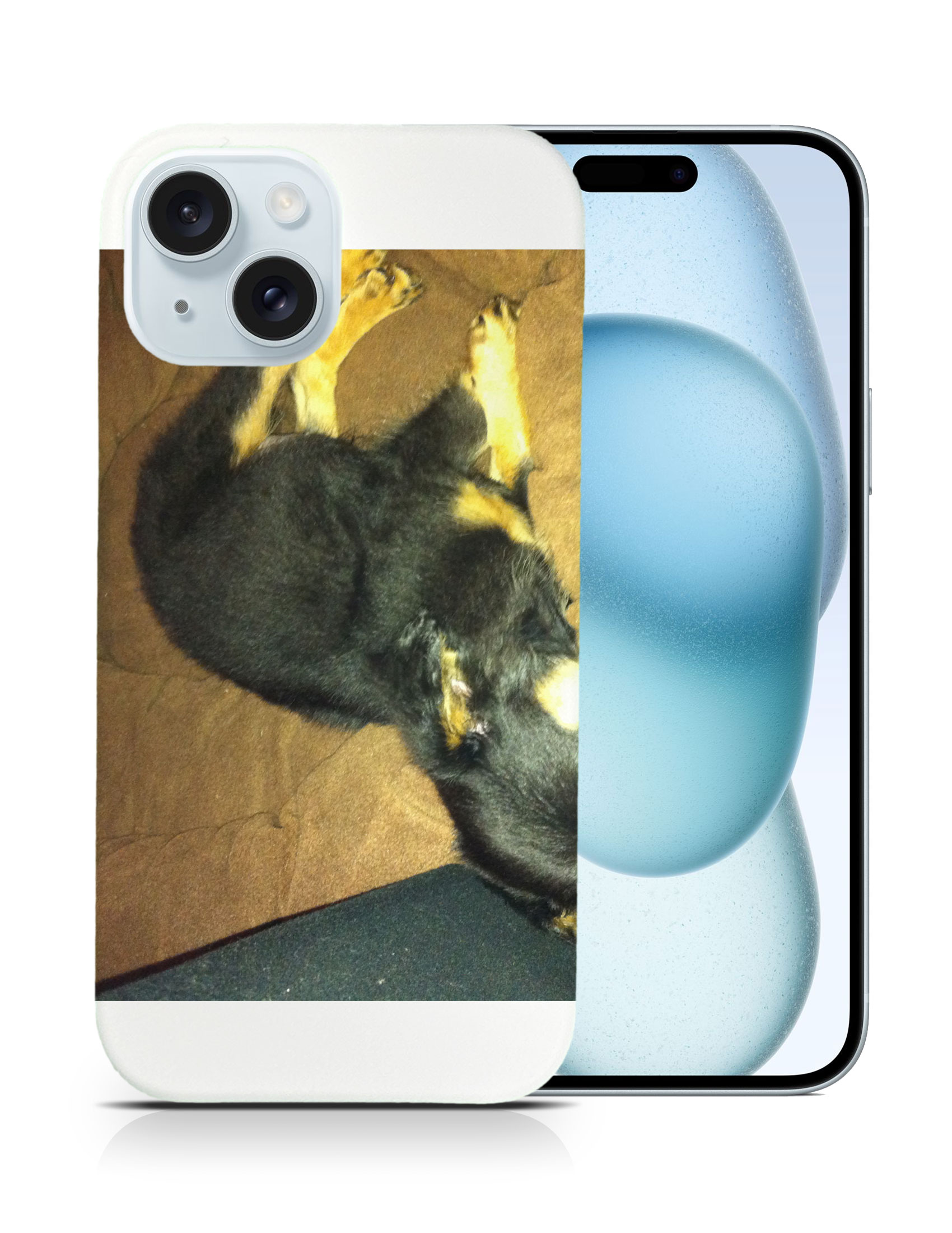 CASE COVER FOR APPLE IPHONE|POMERANIAN CHIHUAHUA DOG 2 - Picture 9 of 44
