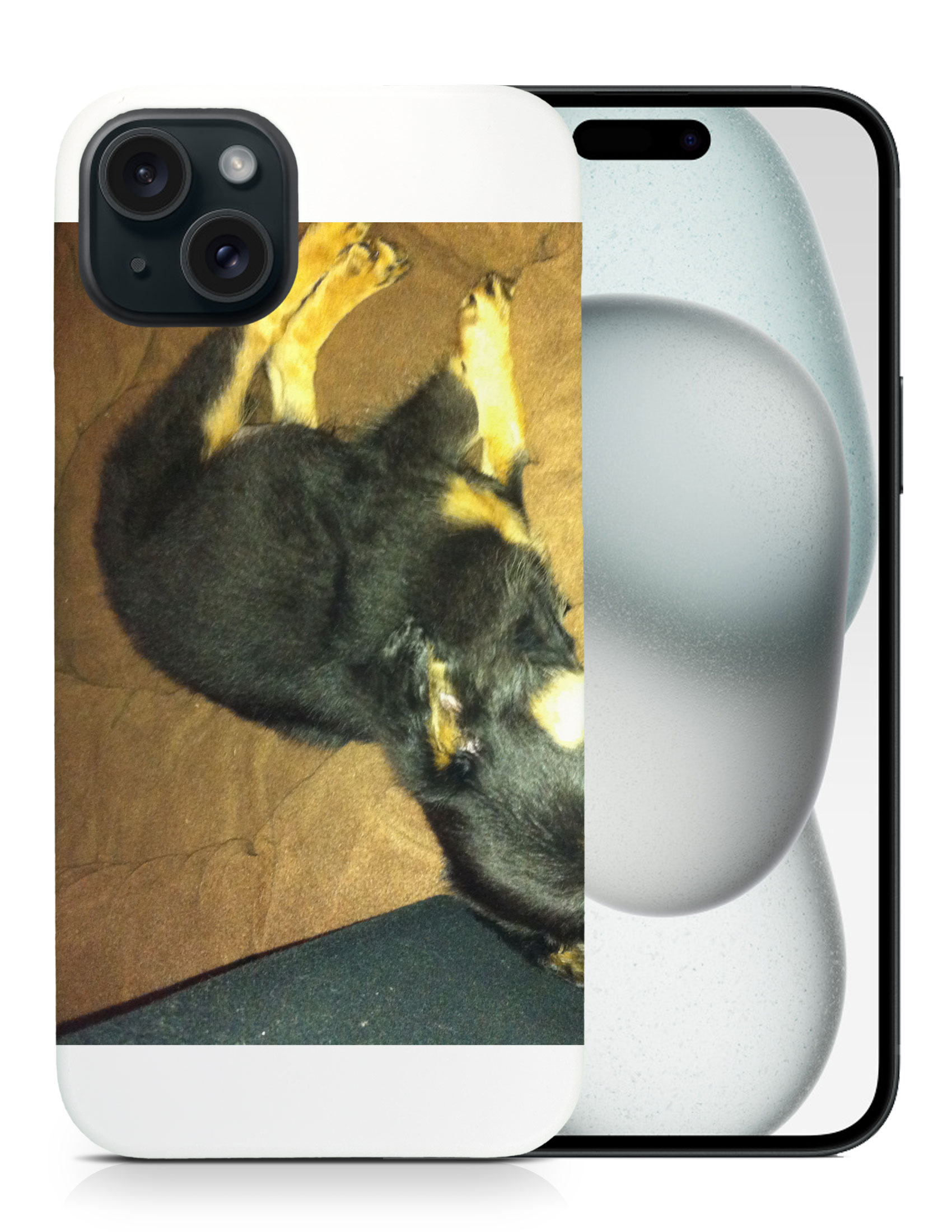 CASE COVER FOR APPLE IPHONE|POMERANIAN CHIHUAHUA DOG 2 - Picture 8 of 44