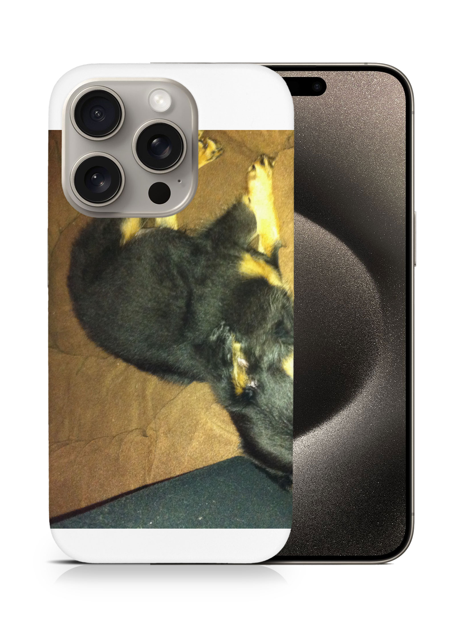 CASE COVER FOR APPLE IPHONE|POMERANIAN CHIHUAHUA DOG 2 - Picture 7 of 44