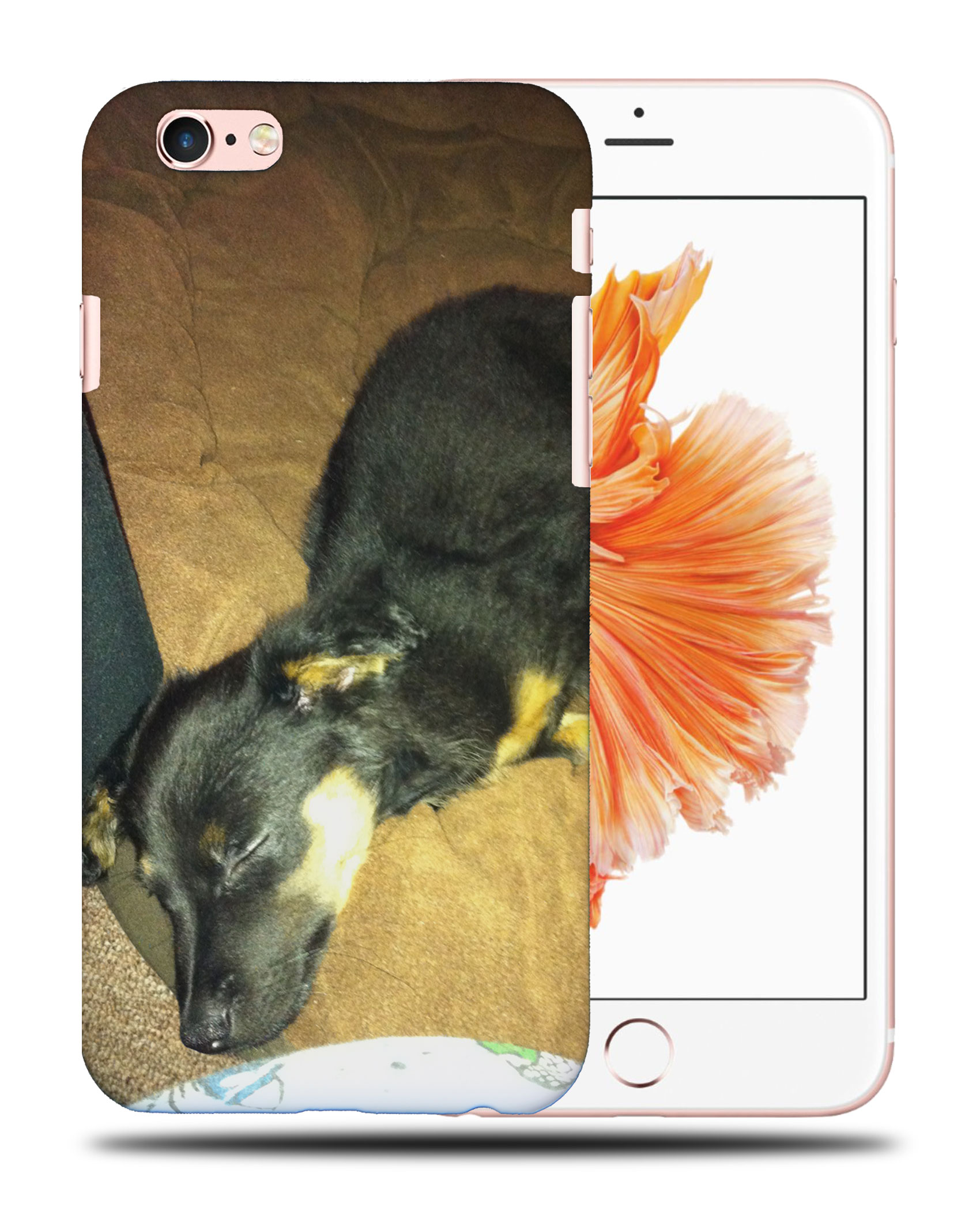 CASE COVER FOR APPLE IPHONE|POMERANIAN CHIHUAHUA DOG 2 - Picture 35 of 44