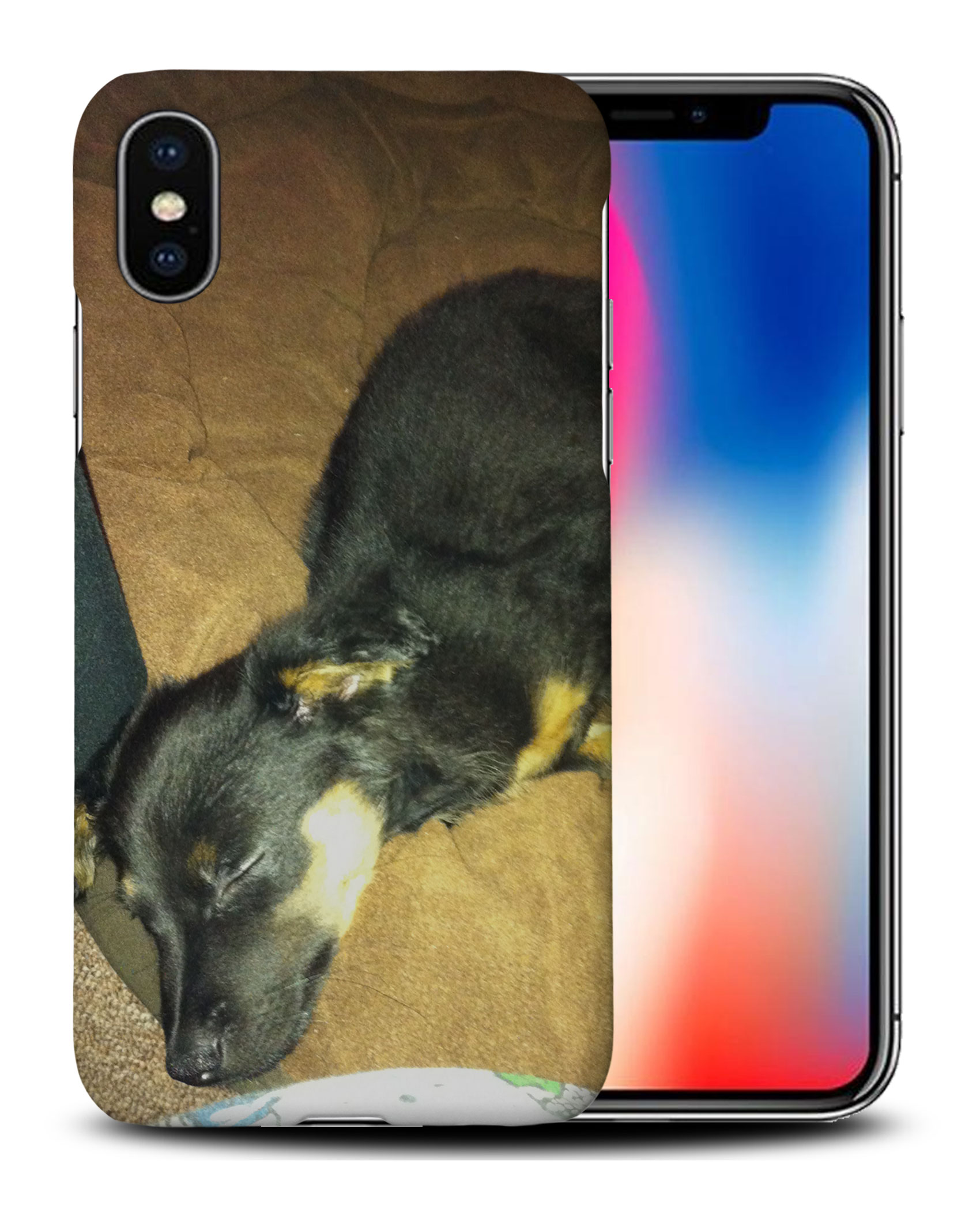 CASE COVER FOR APPLE IPHONE|POMERANIAN CHIHUAHUA DOG 2 - Picture 26 of 44