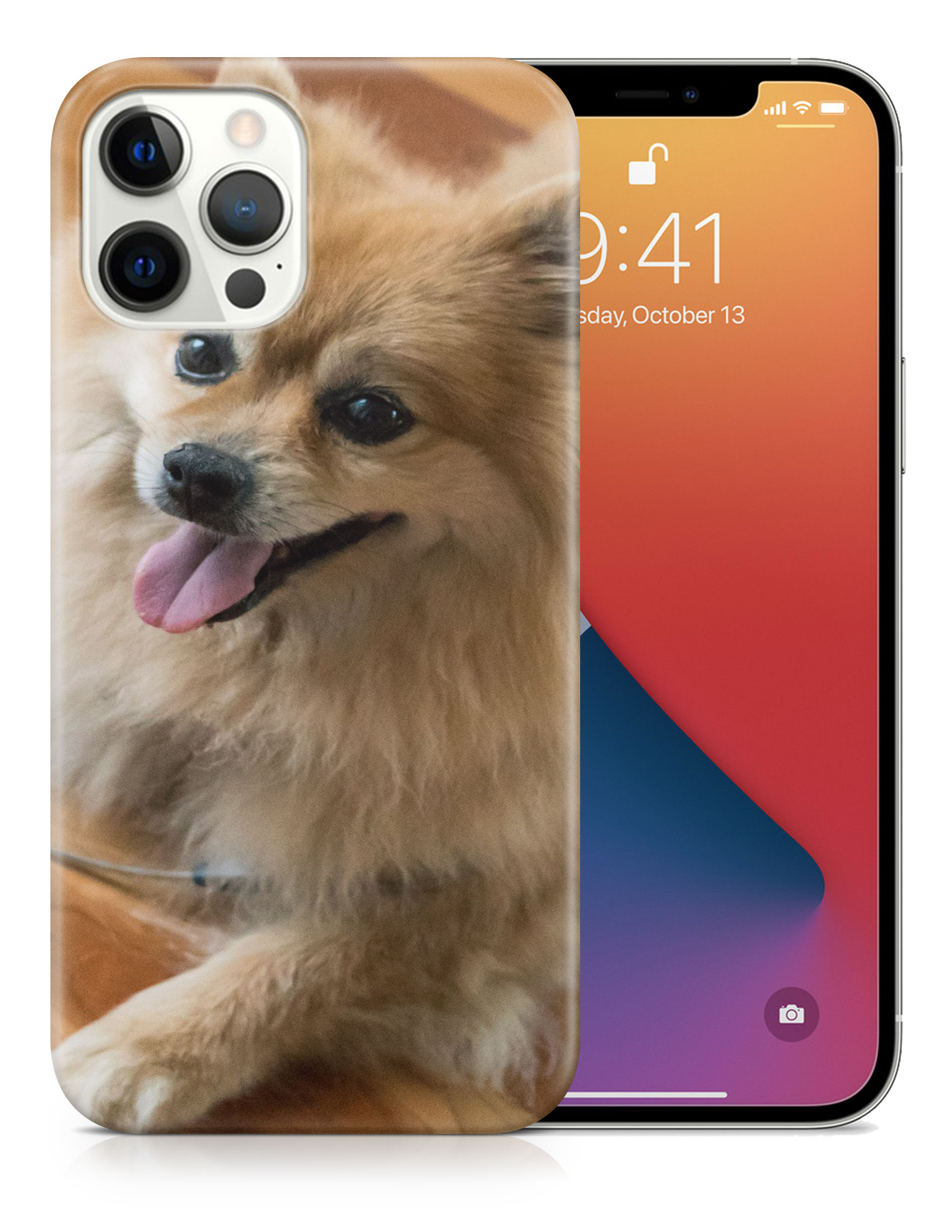 CASE COVER FOR APPLE IPHONE|POMERANIAN DOG 7 - Foto 18 di 44