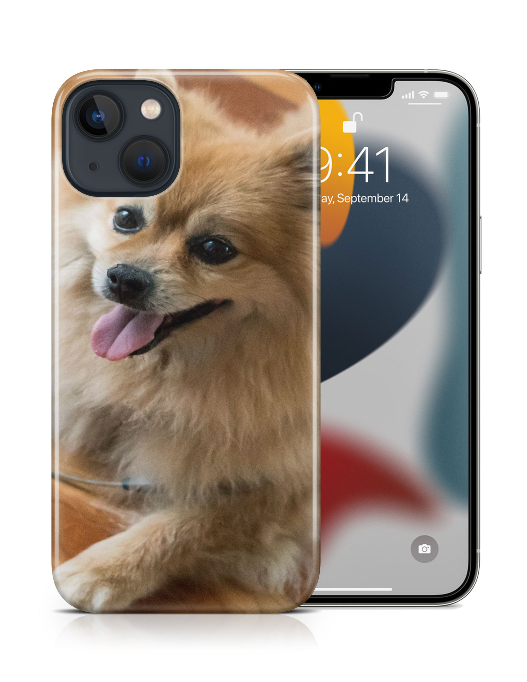 CASE COVER FOR APPLE IPHONE|POMERANIAN DOG 7 - Foto 16 di 44
