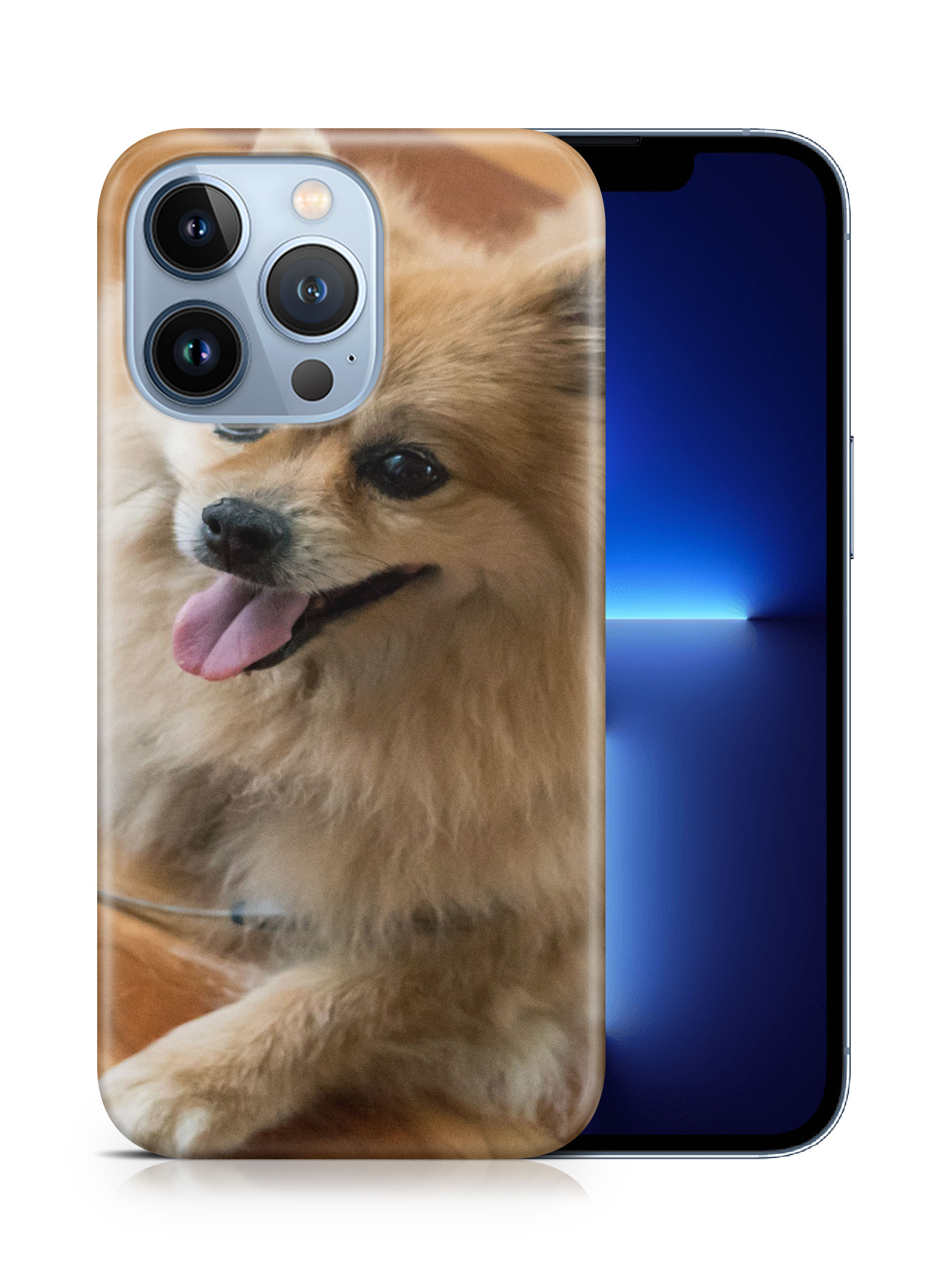 CASE COVER FOR APPLE IPHONE|POMERANIAN DOG 7 - Foto 15 di 44