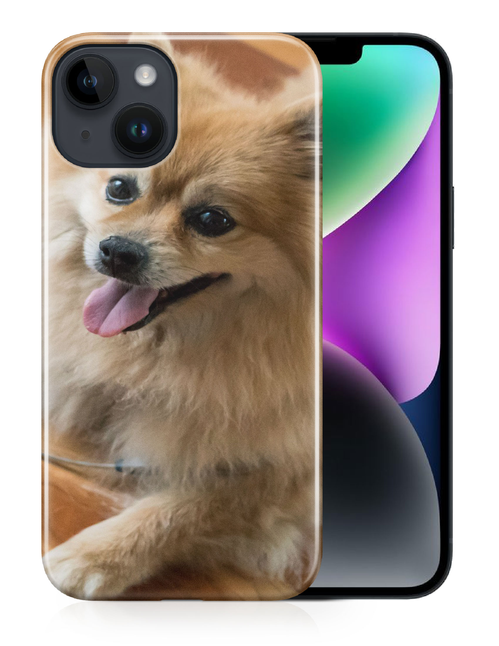 CASE COVER FOR APPLE IPHONE|POMERANIAN DOG 7 - Foto 12 di 44