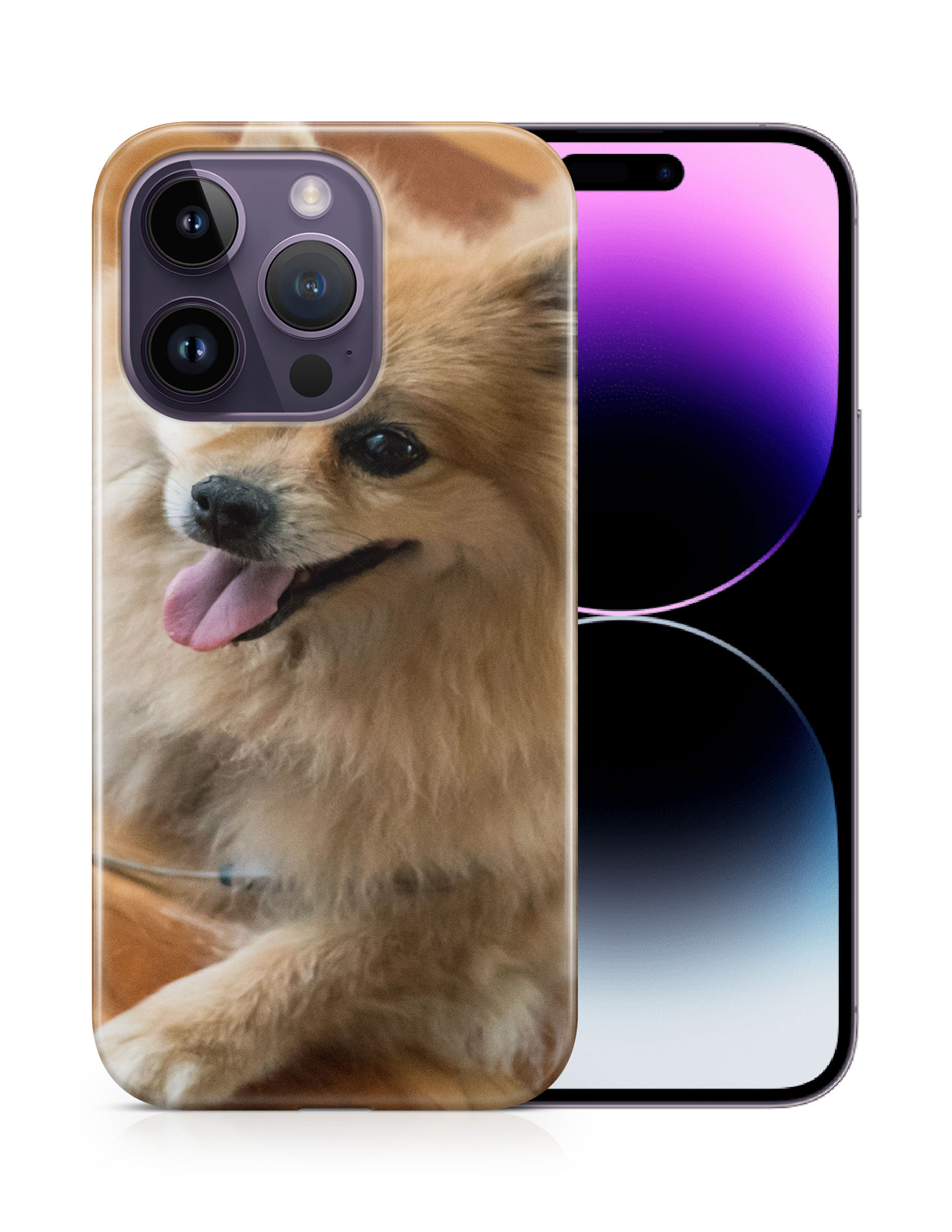 CASE COVER FOR APPLE IPHONE|POMERANIAN DOG 7 - Foto 11 di 44