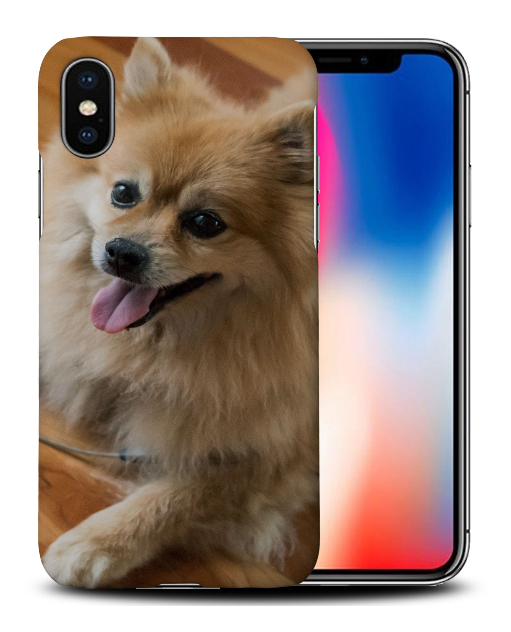 CASE COVER FOR APPLE IPHONE|POMERANIAN DOG 7 - Foto 26 di 44