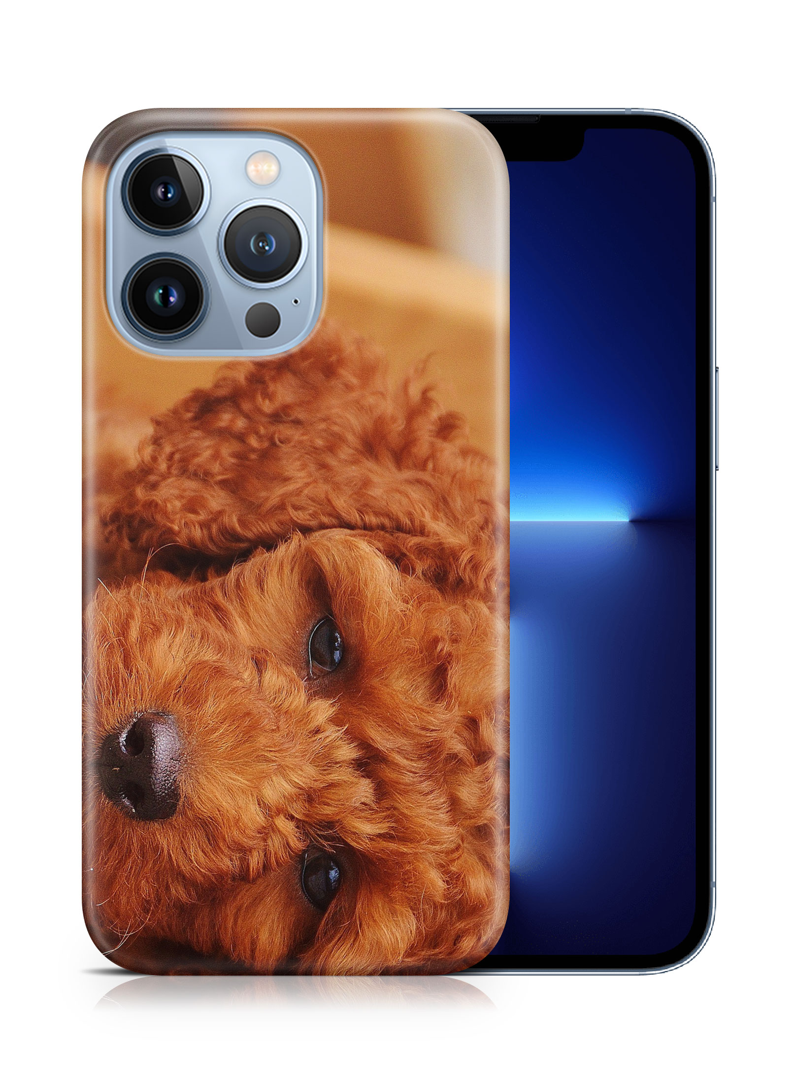 CASE COVER FOR APPLE IPHONE|POODLE DOG 5 - Bild 15 von 44