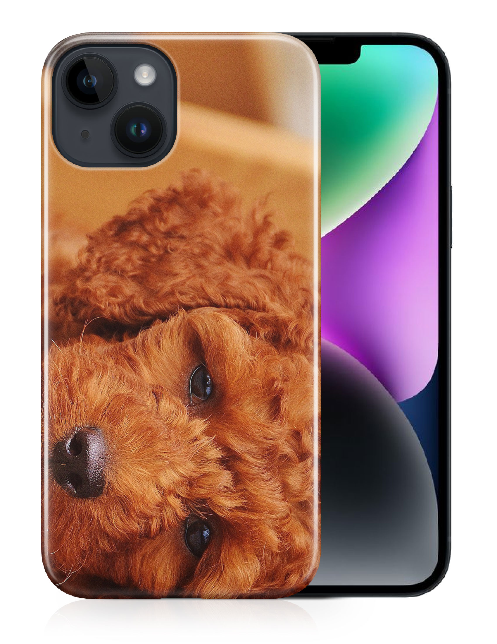 CASE COVER FOR APPLE IPHONE|POODLE DOG 5 - Bild 12 von 44