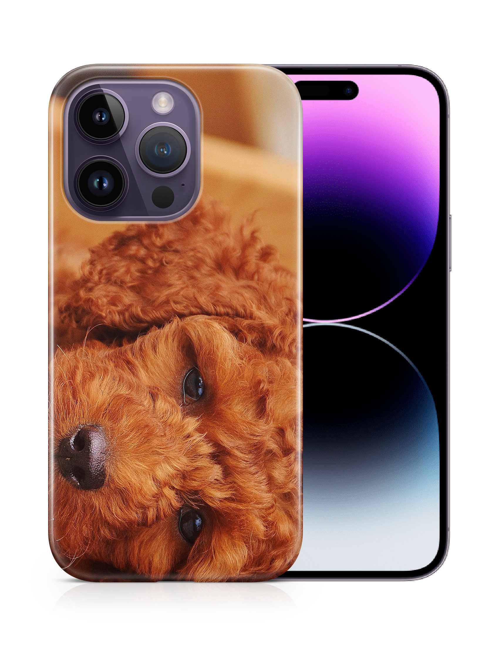CASE COVER FOR APPLE IPHONE|POODLE DOG 5 - Bild 11 von 44