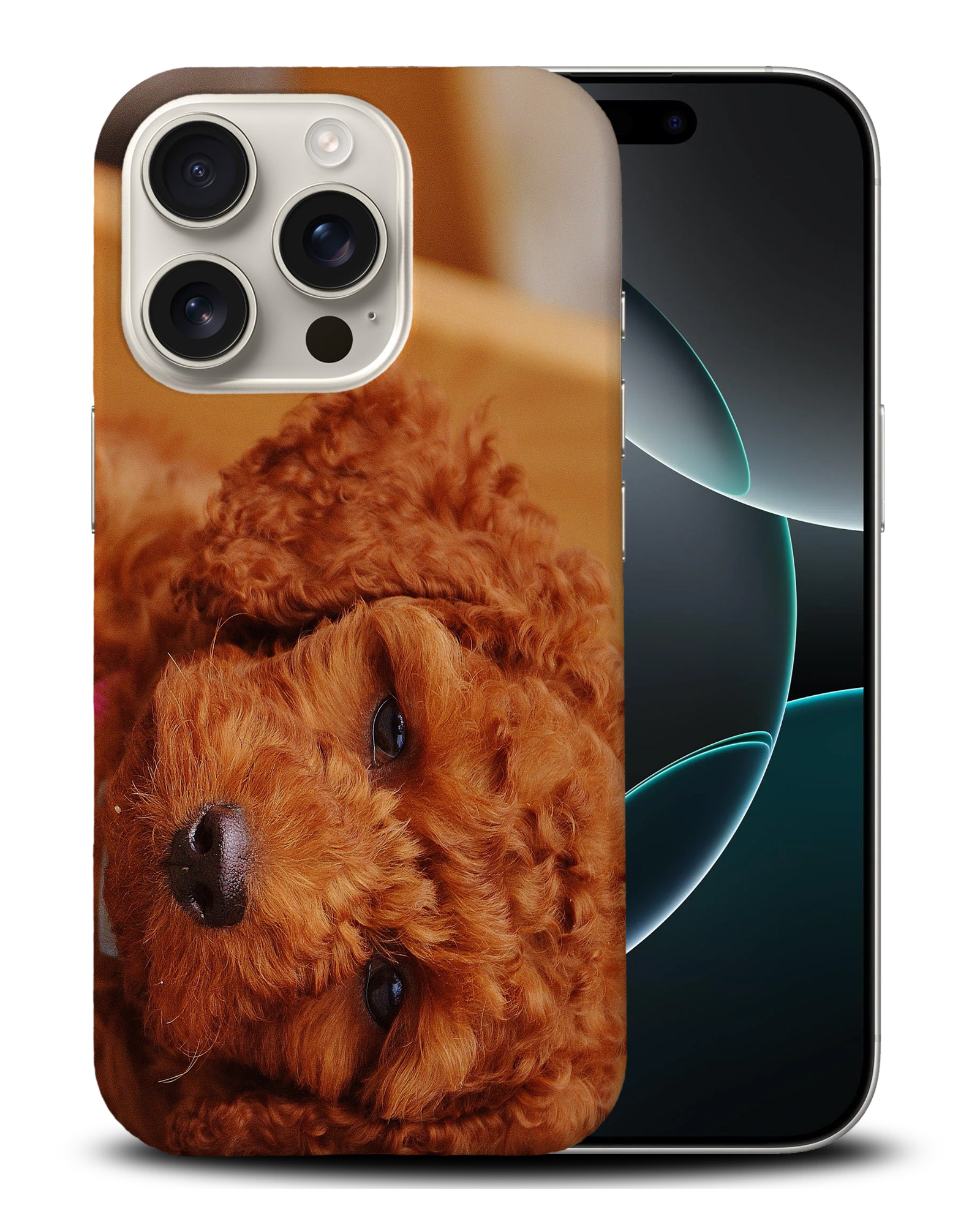 CASE COVER FOR APPLE IPHONE|POODLE DOG 5 - Bild 3 von 44