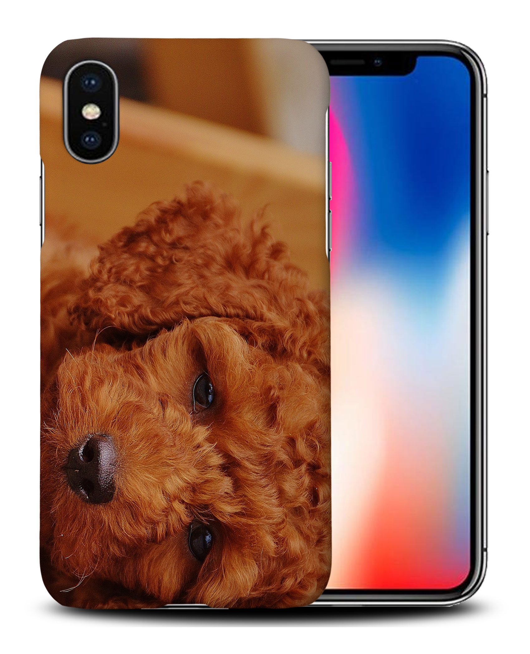CASE COVER FOR APPLE IPHONE|POODLE DOG 5 - Bild 26 von 44