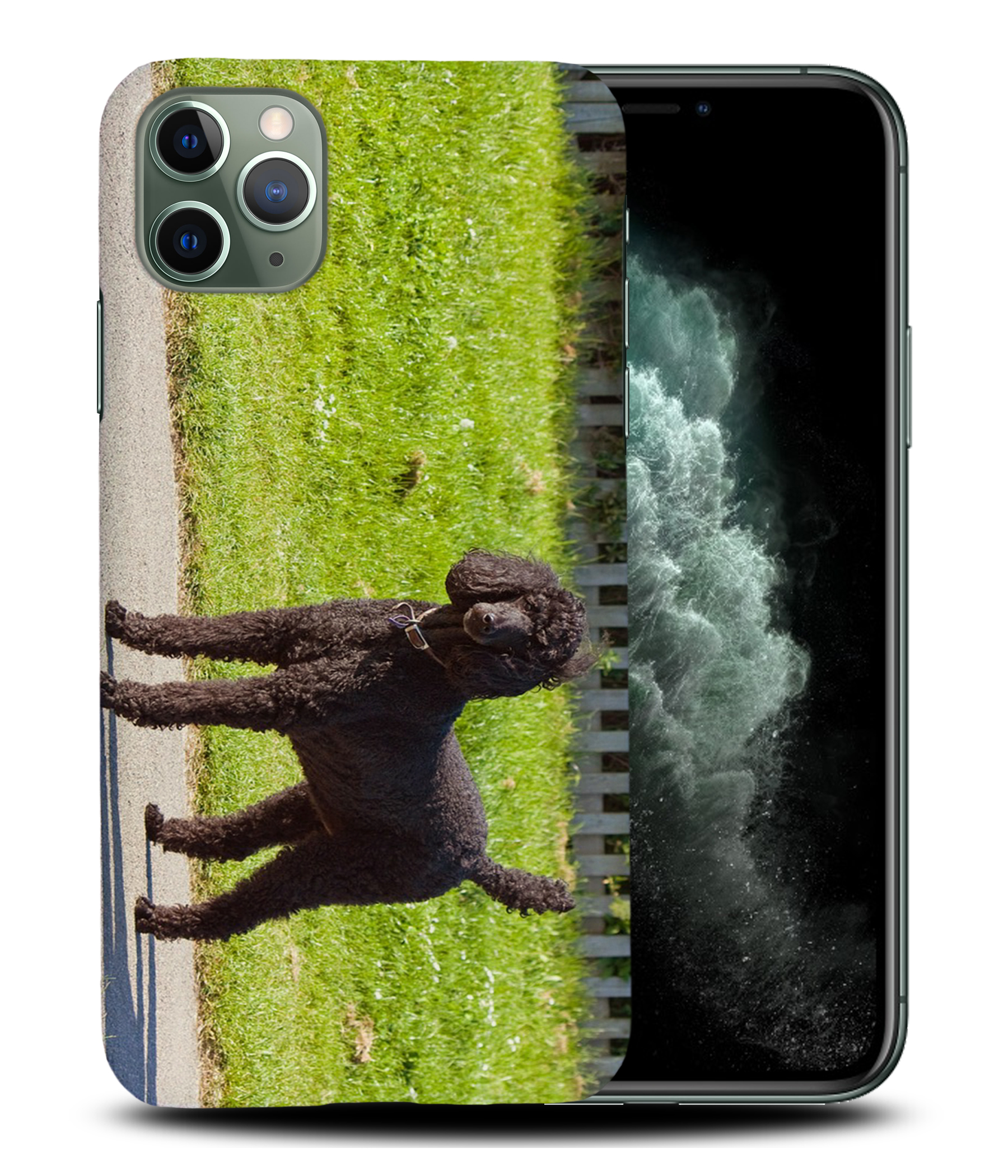 CASE COVER FOR APPLE IPHONE|POODLE DOG 13 - Picture 23 of 44