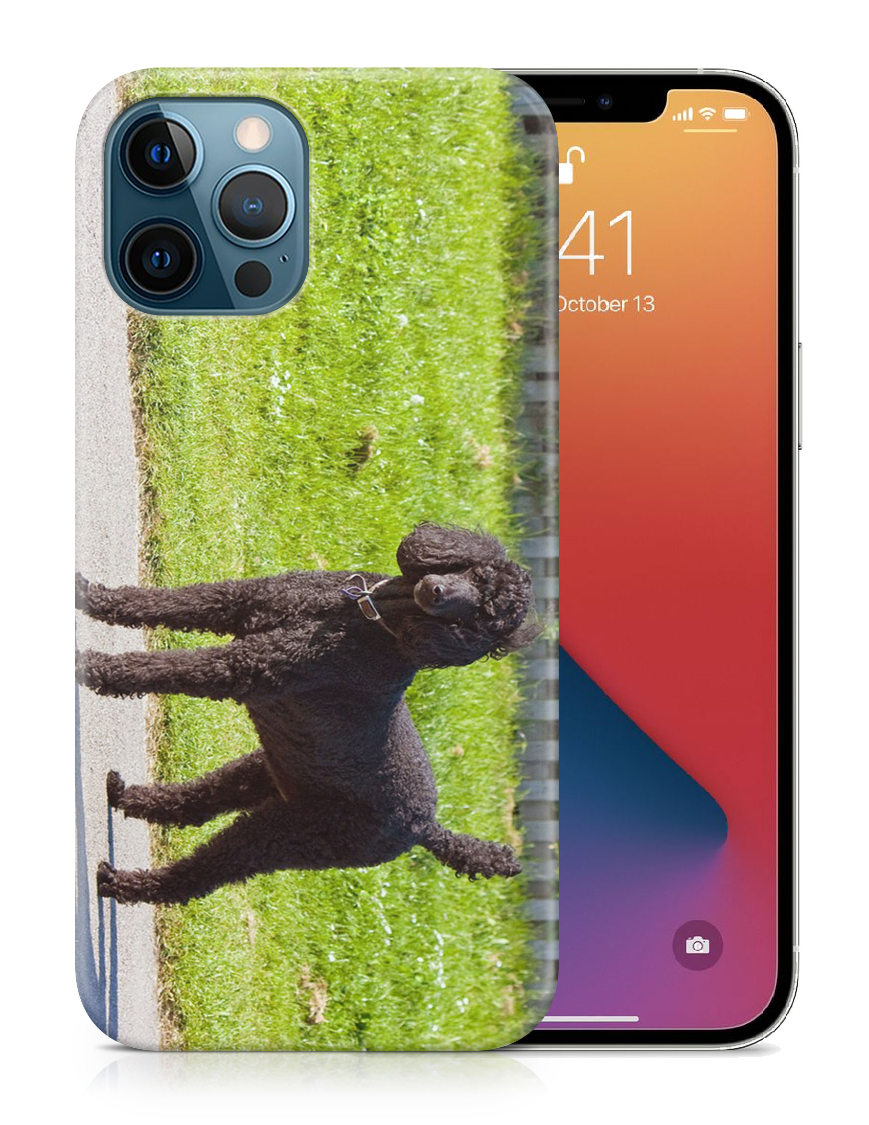 CASE COVER FOR APPLE IPHONE|POODLE DOG 13 - Picture 19 of 44