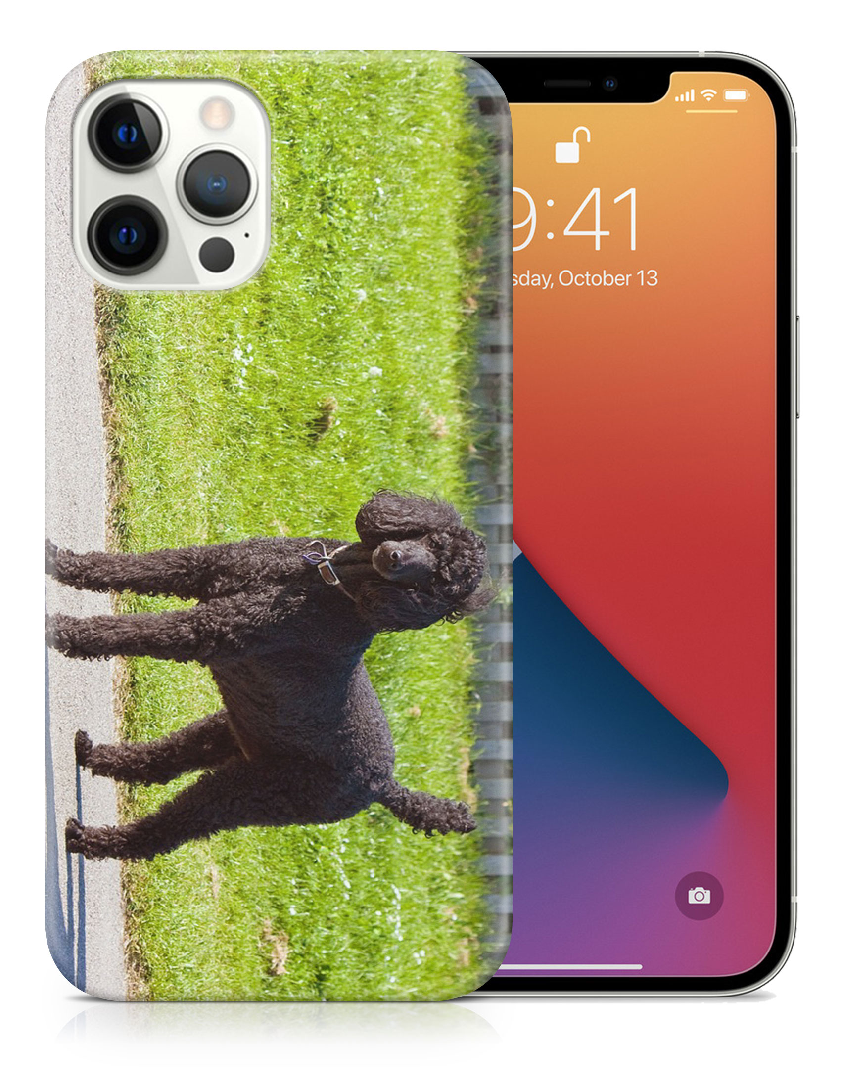 CASE COVER FOR APPLE IPHONE|POODLE DOG 13 - Picture 18 of 44