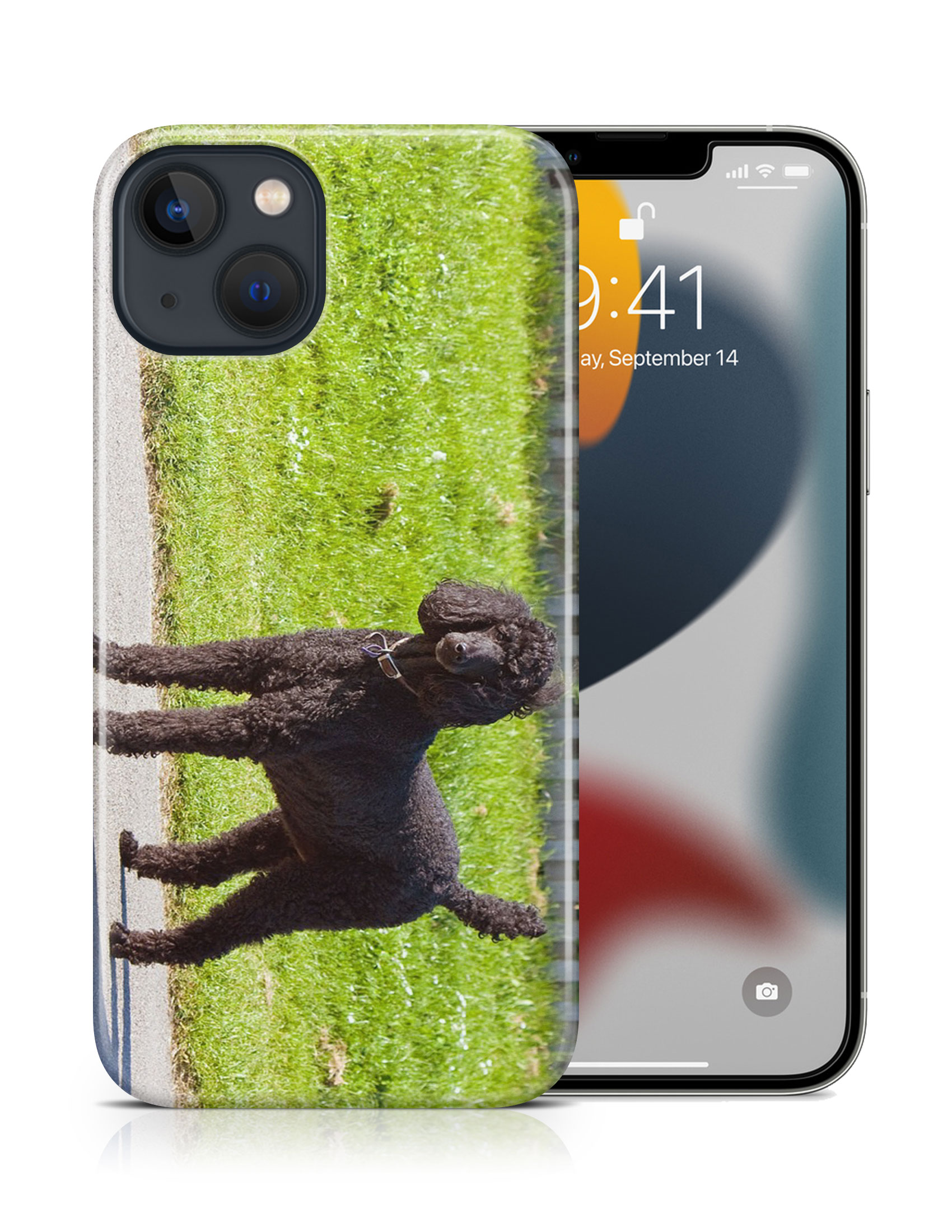 CASE COVER FOR APPLE IPHONE|POODLE DOG 13 - Picture 16 of 44