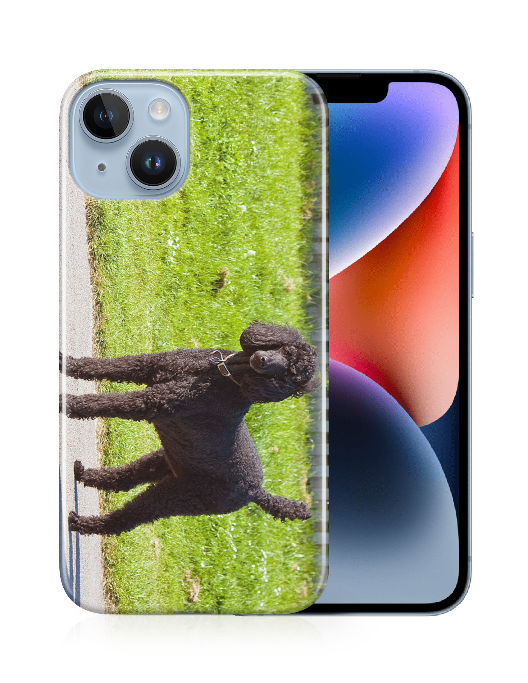 CASE COVER FOR APPLE IPHONE|POODLE DOG 13 - Picture 13 of 44