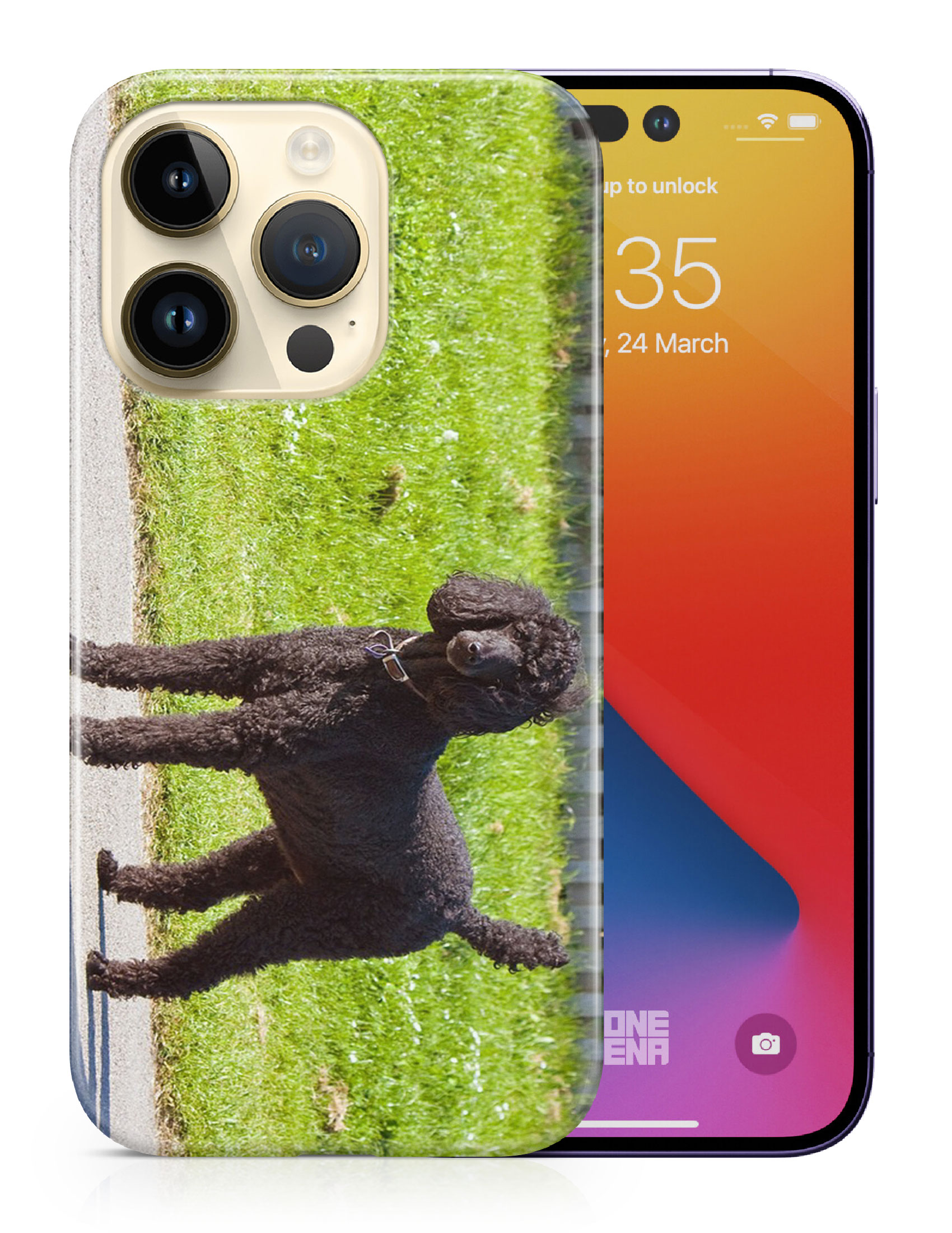 CASE COVER FOR APPLE IPHONE|POODLE DOG 13 - Picture 10 of 44