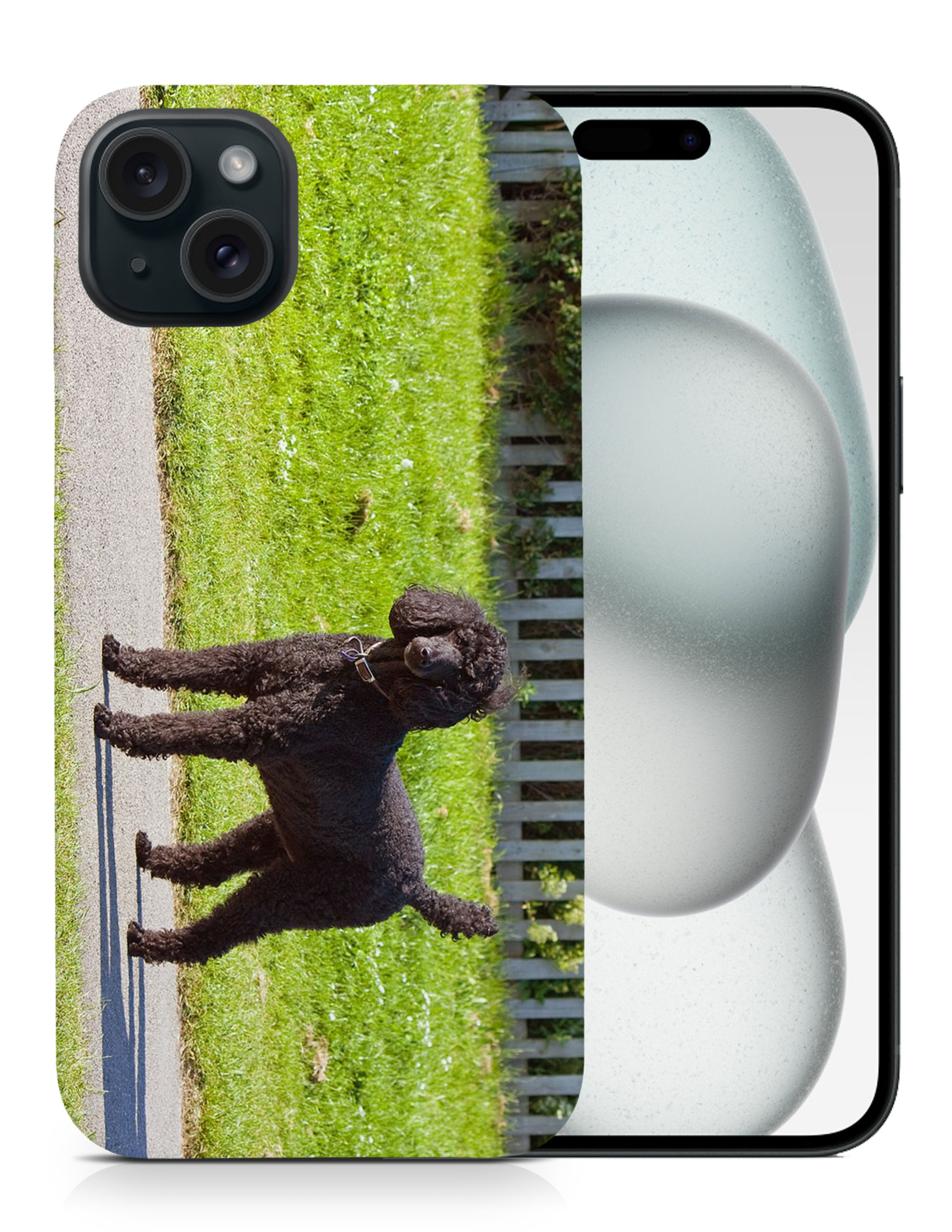 CASE COVER FOR APPLE IPHONE|POODLE DOG 13 - Picture 8 of 44