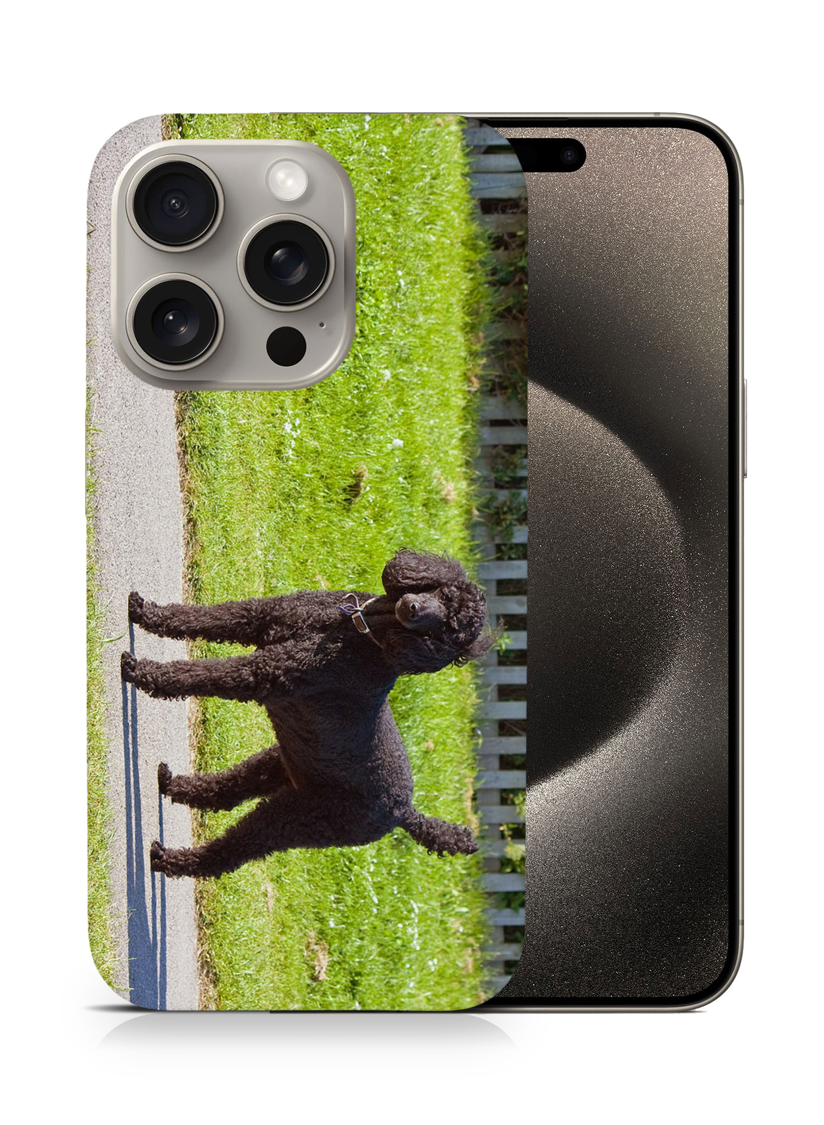 CASE COVER FOR APPLE IPHONE|POODLE DOG 13 - Picture 7 of 44