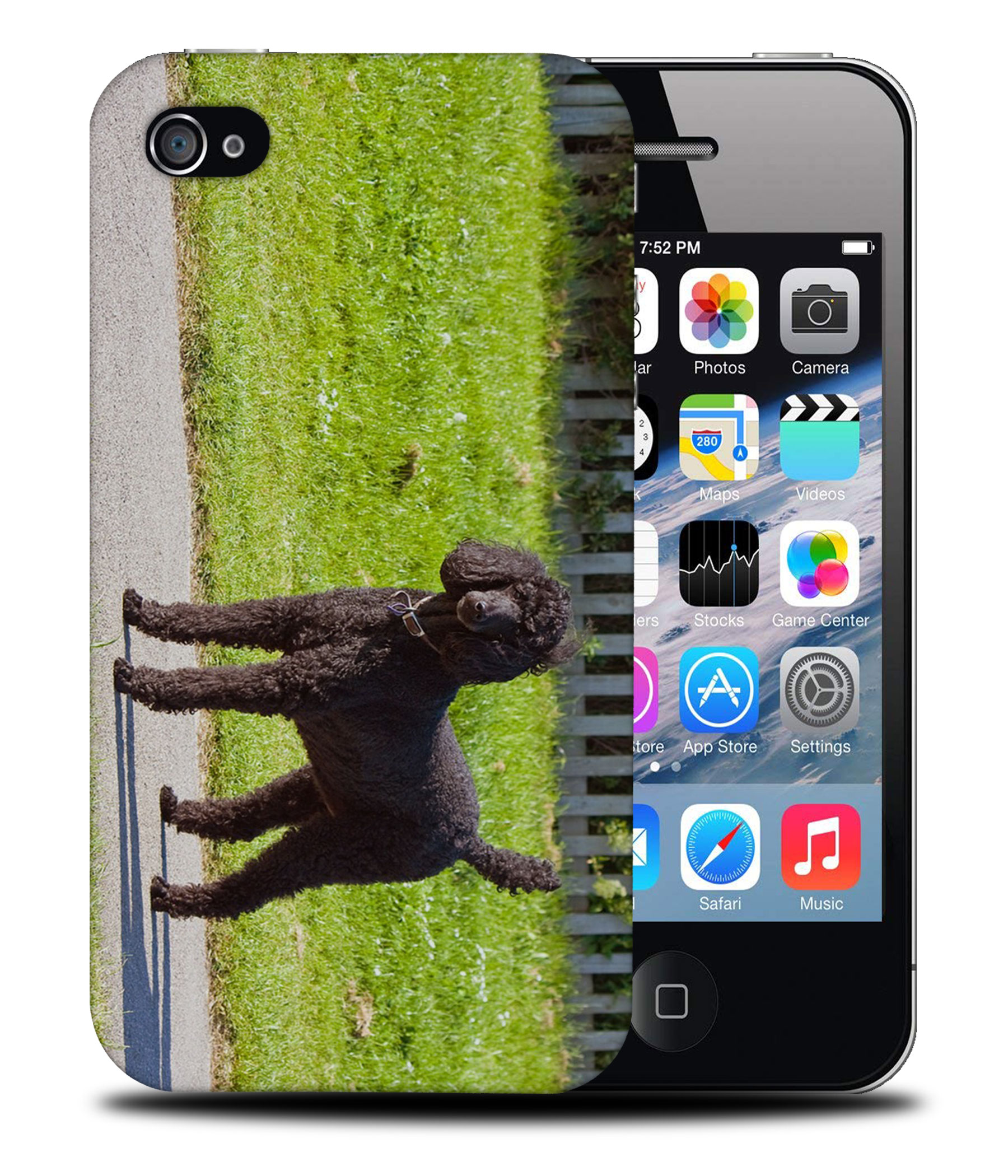 CASE COVER FOR APPLE IPHONE|POODLE DOG 13 - Picture 40 of 44