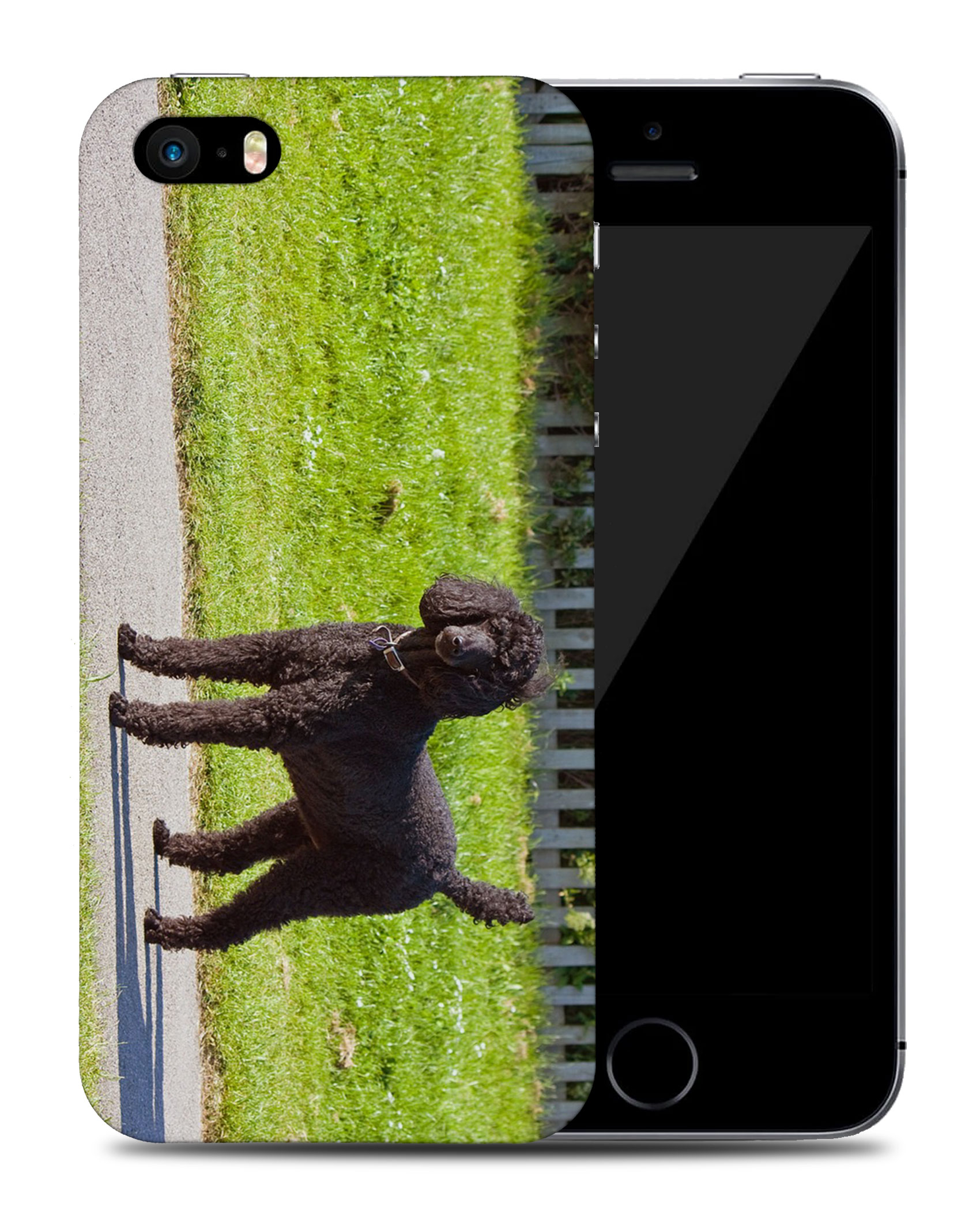 CASE COVER FOR APPLE IPHONE|POODLE DOG 13 - Picture 38 of 44