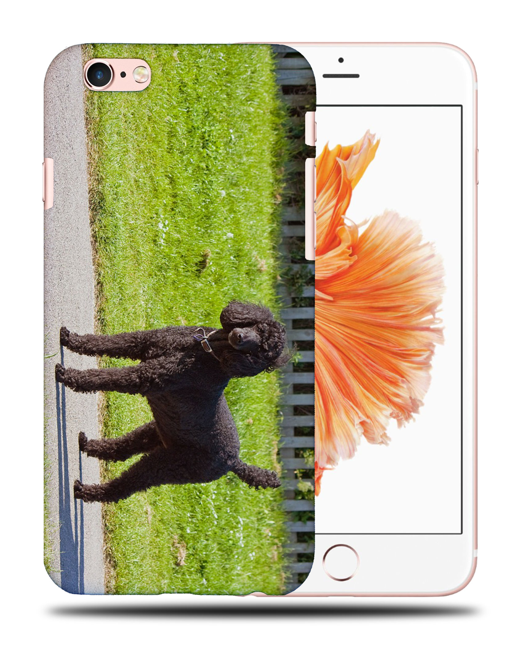 CASE COVER FOR APPLE IPHONE|POODLE DOG 13 - Picture 35 of 44