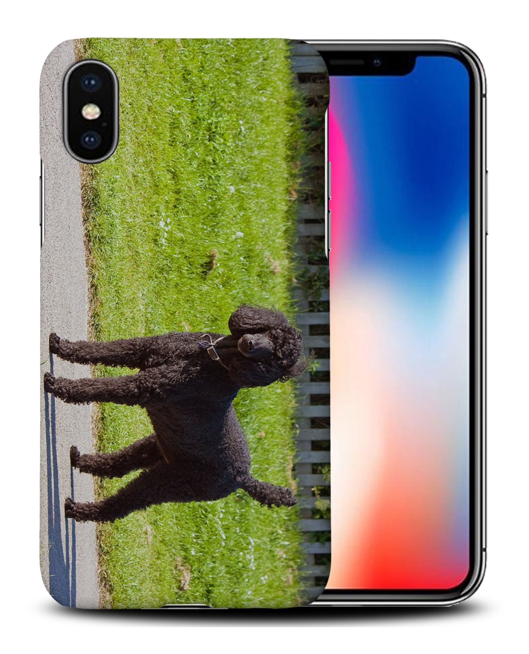 CASE COVER FOR APPLE IPHONE|POODLE DOG 13 - Picture 26 of 44