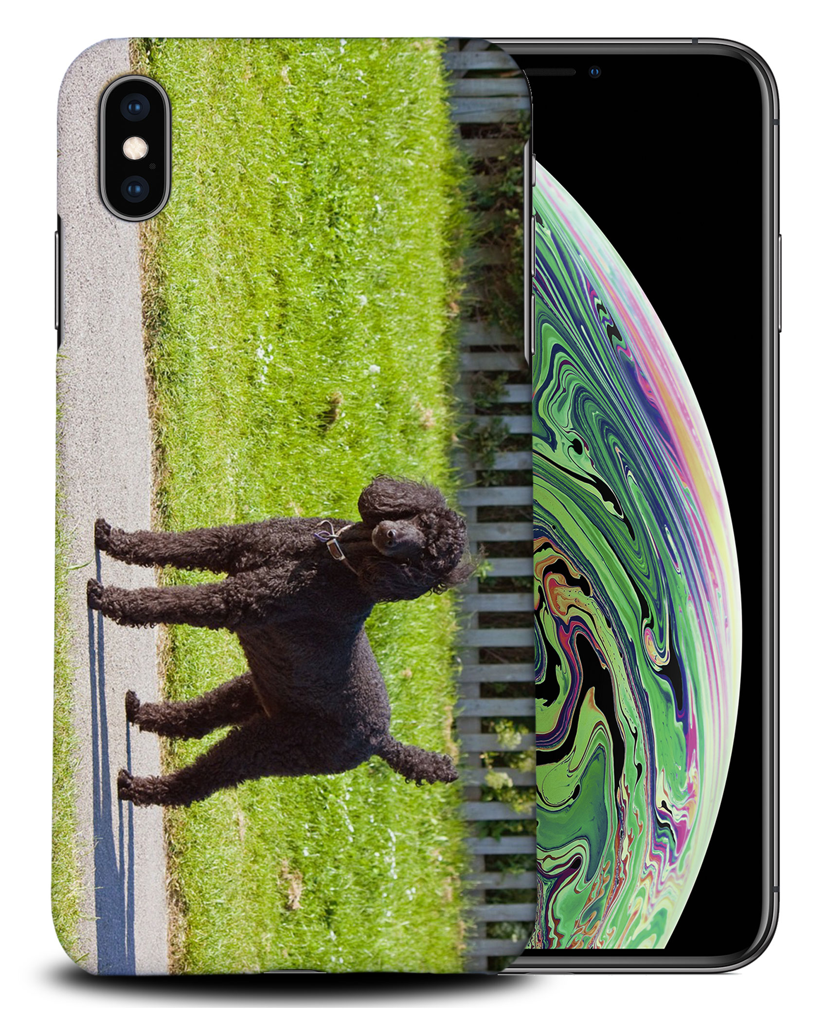 CASE COVER FOR APPLE IPHONE|POODLE DOG 13 - Picture 25 of 44