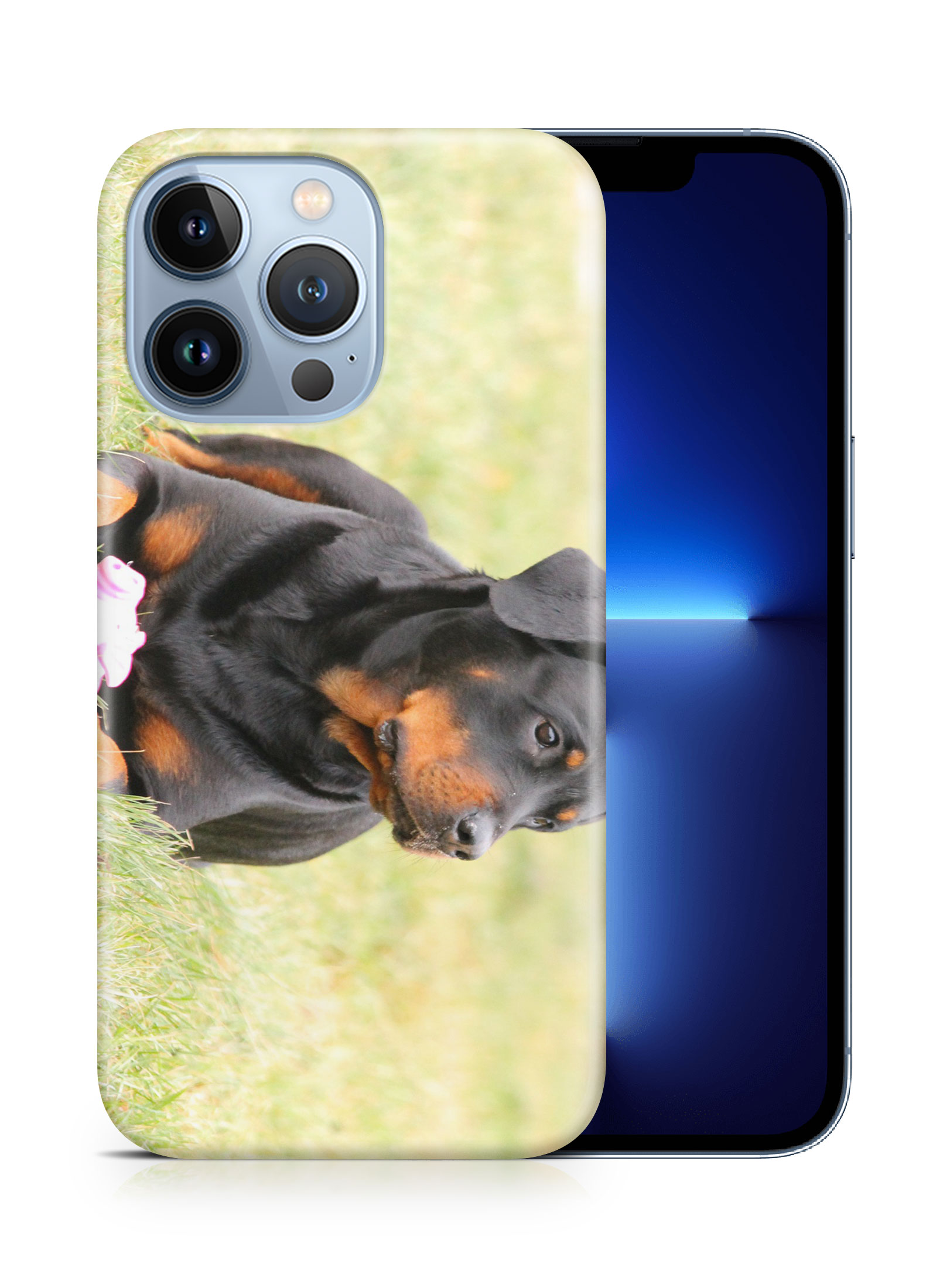 CASE COVER FOR APPLE IPHONE|ROTTWEILER DOG 4 - Bild 15 von 44