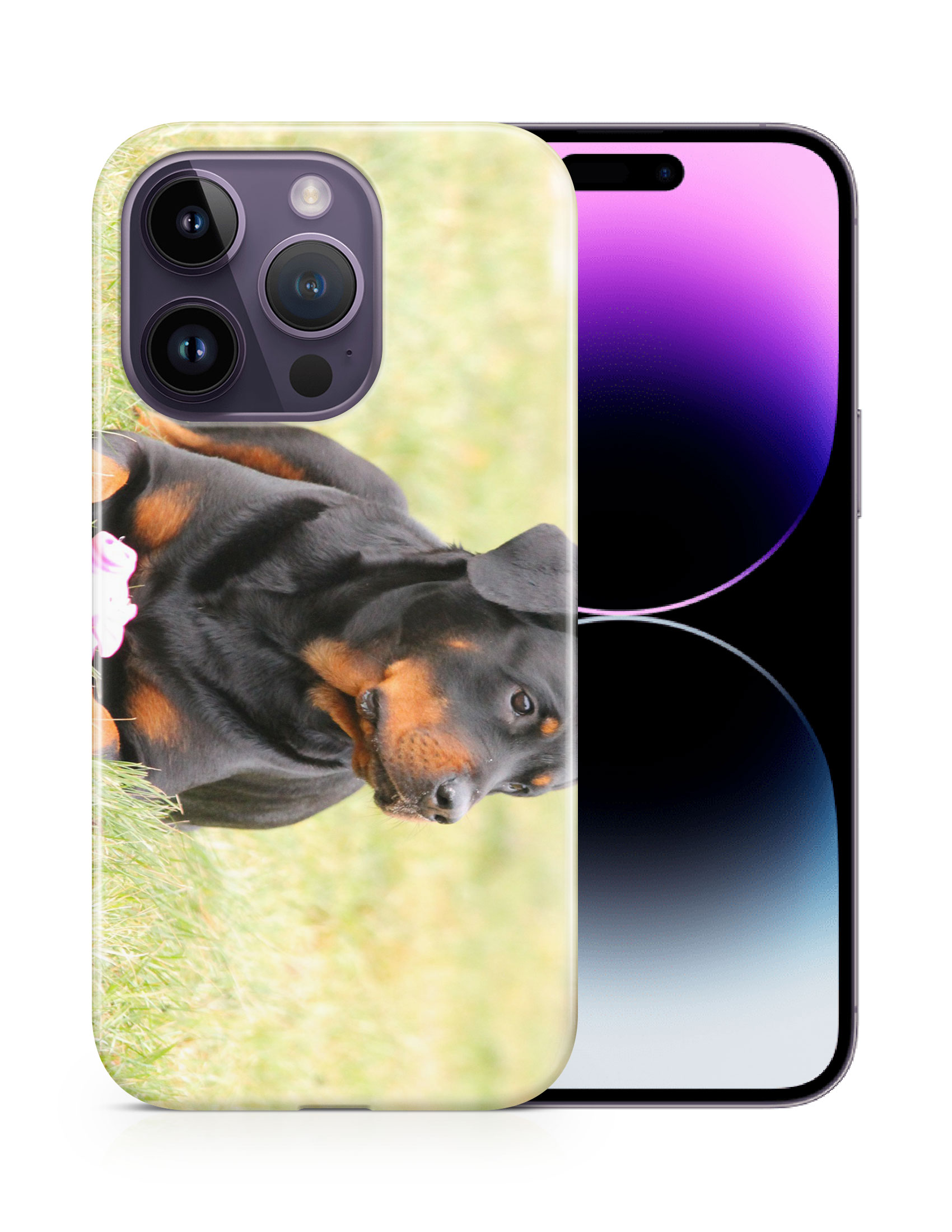 CASE COVER FOR APPLE IPHONE|ROTTWEILER DOG 4 - Bild 11 von 44