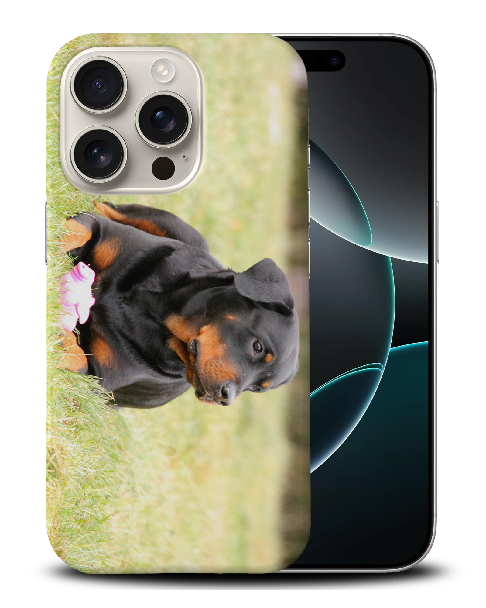 CASE COVER FOR APPLE IPHONE|ROTTWEILER DOG 4 - Bild 3 von 44