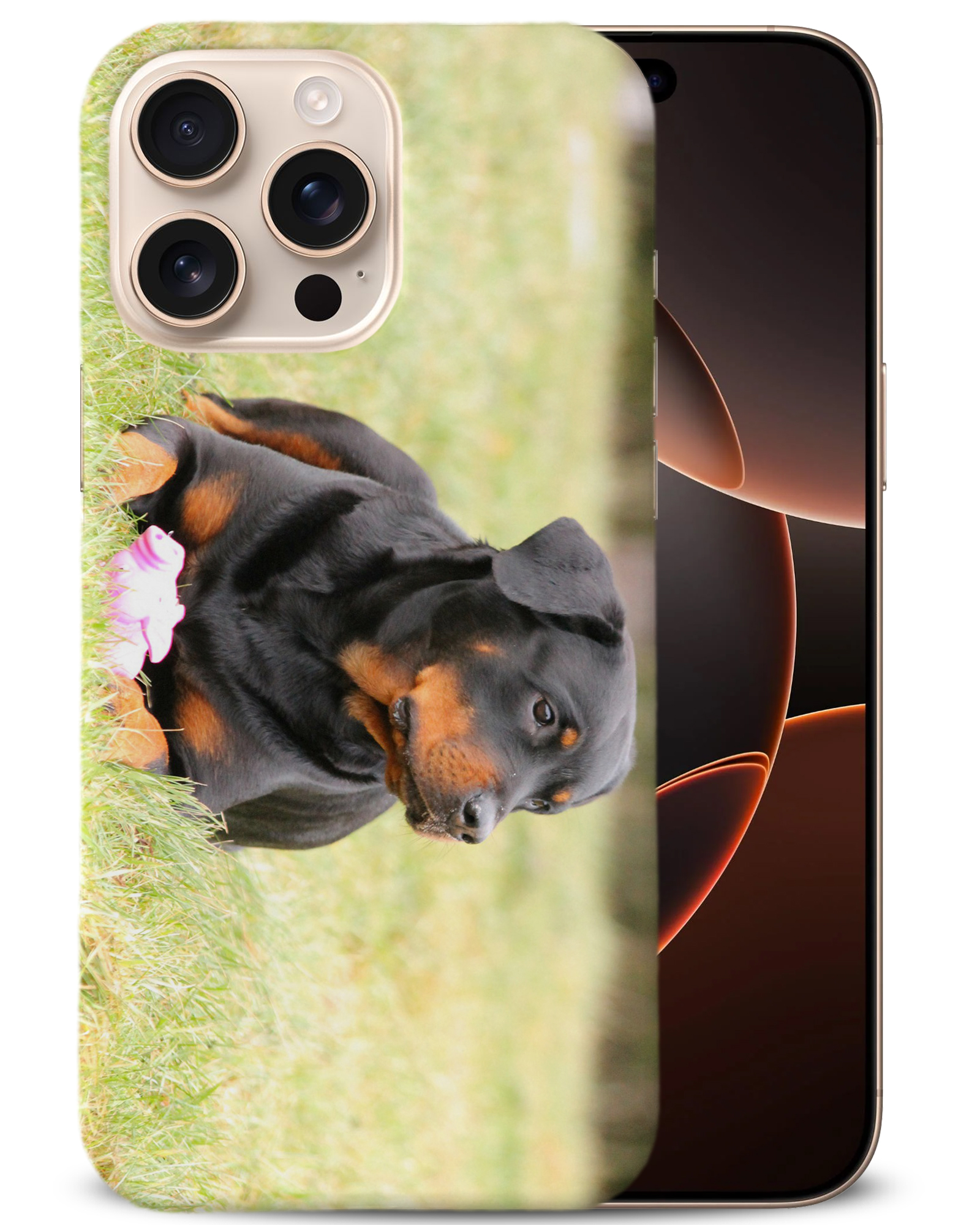 CASE COVER FOR APPLE IPHONE|ROTTWEILER DOG 4 - Bild 2 von 44